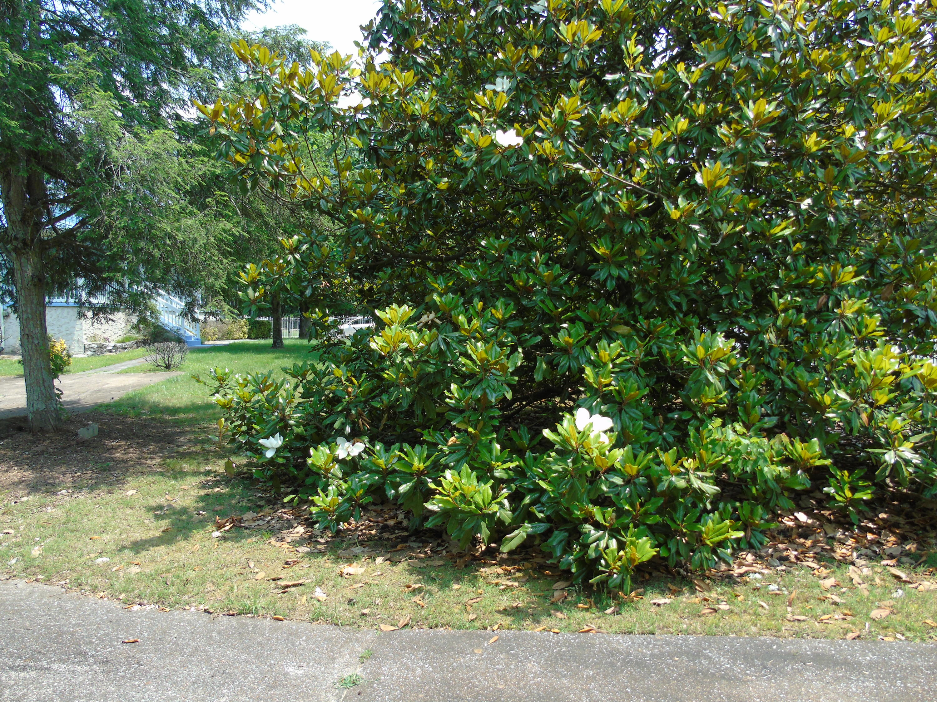 9129 Hixson Pike