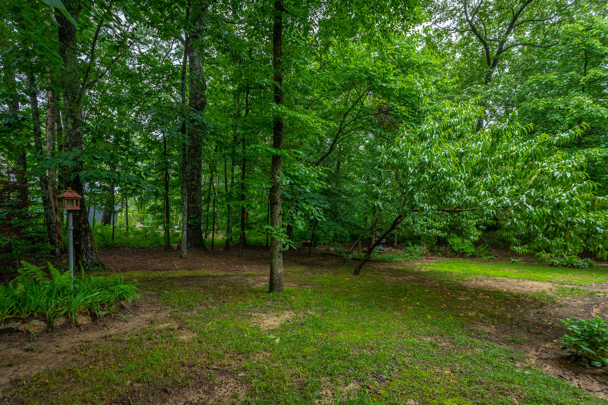 4808 Signal Forest Drive