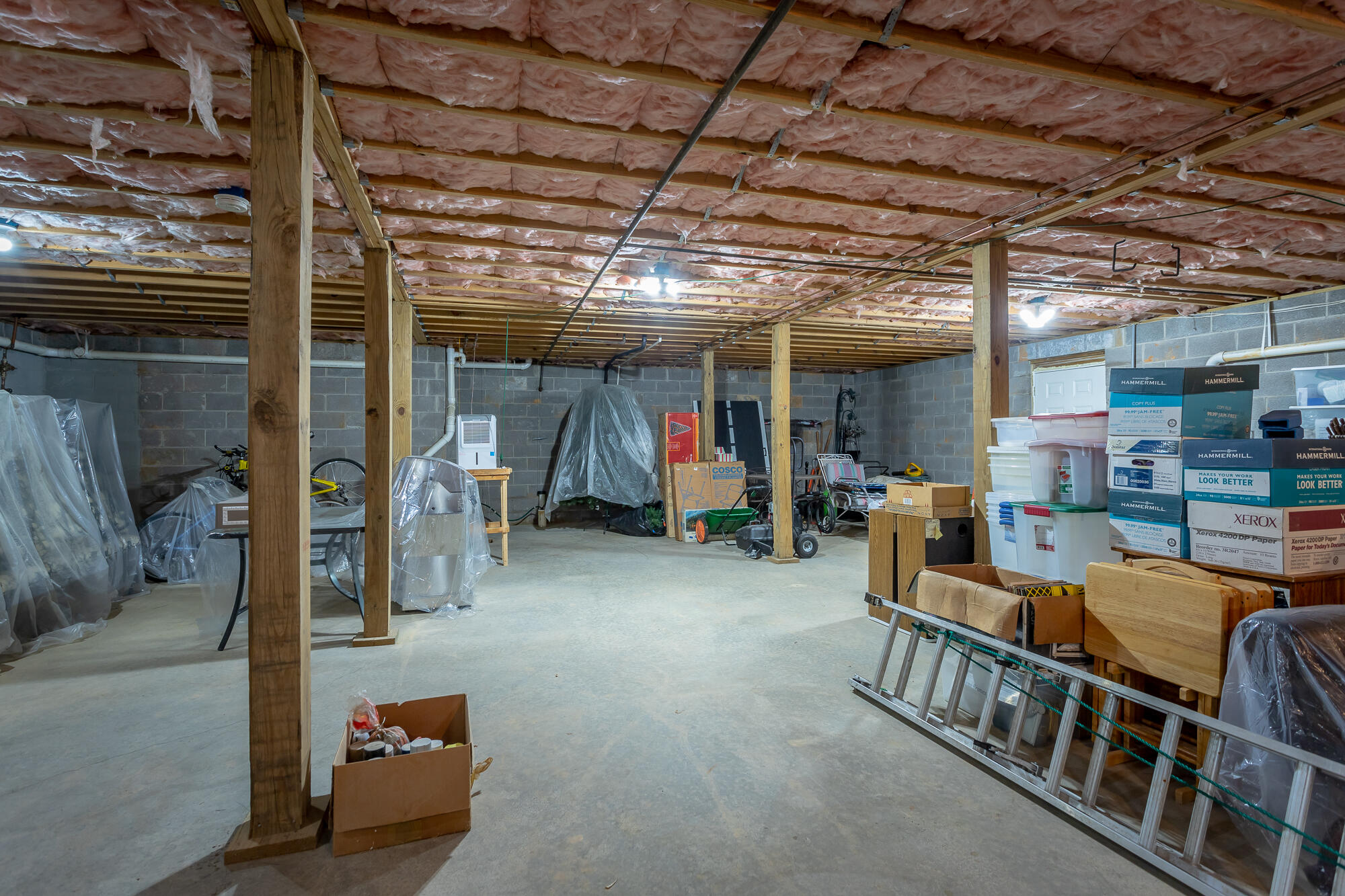 1009 Clift Cave Drive