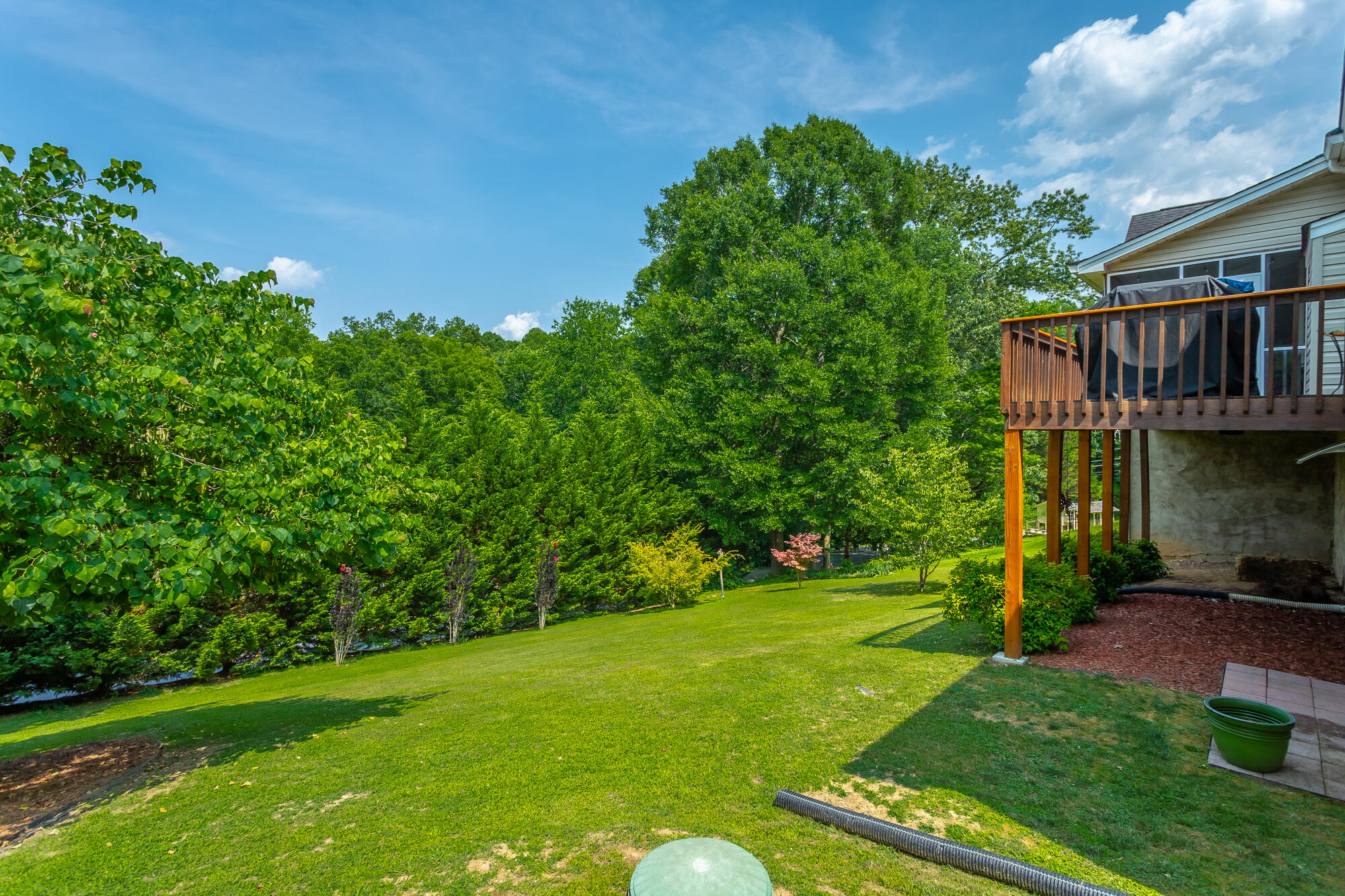 1009 Clift Cave Drive