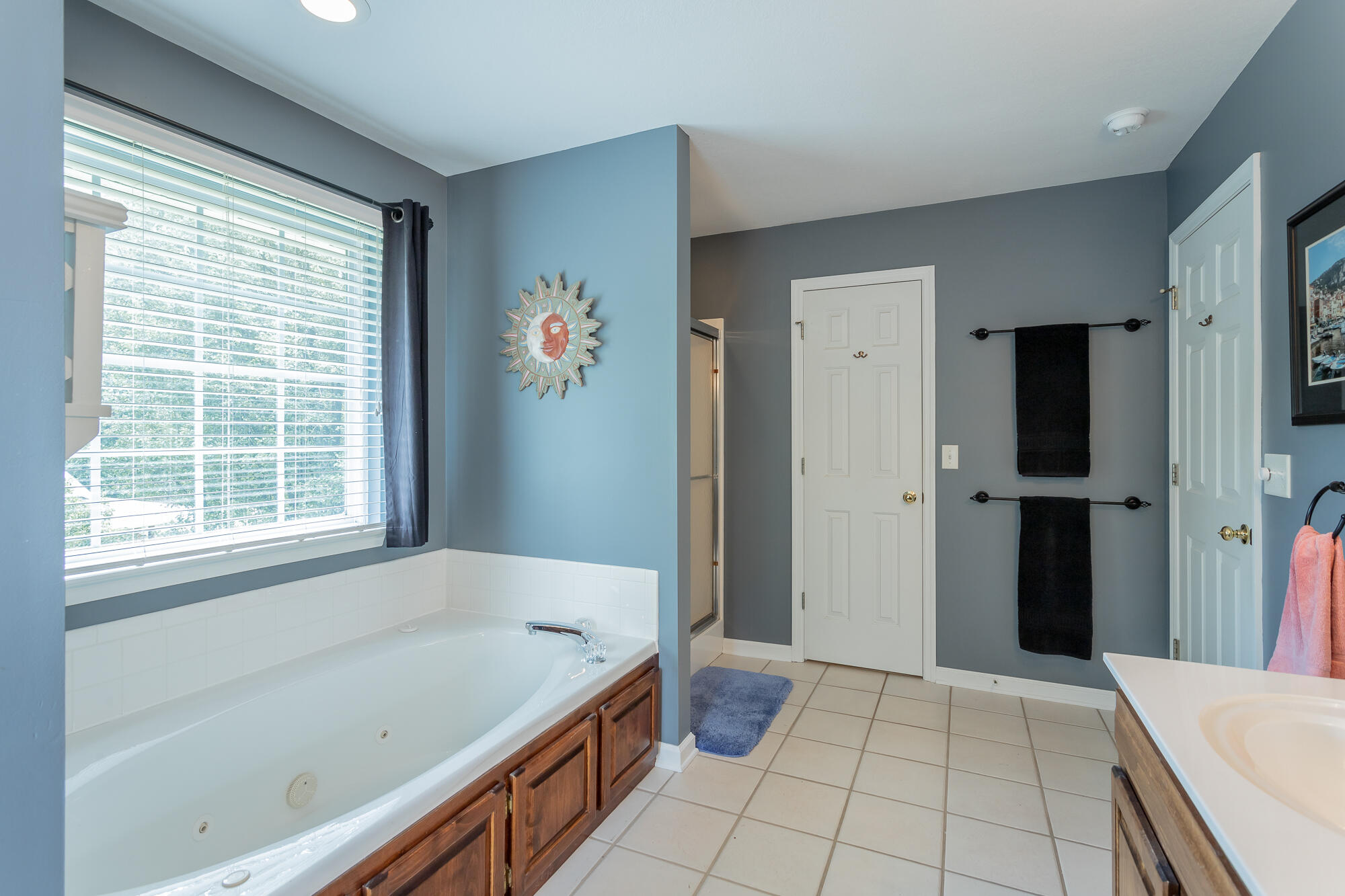 1009 Clift Cave Drive