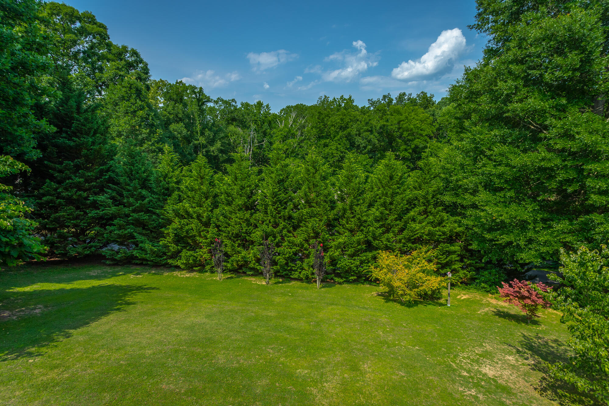 1009 Clift Cave Drive