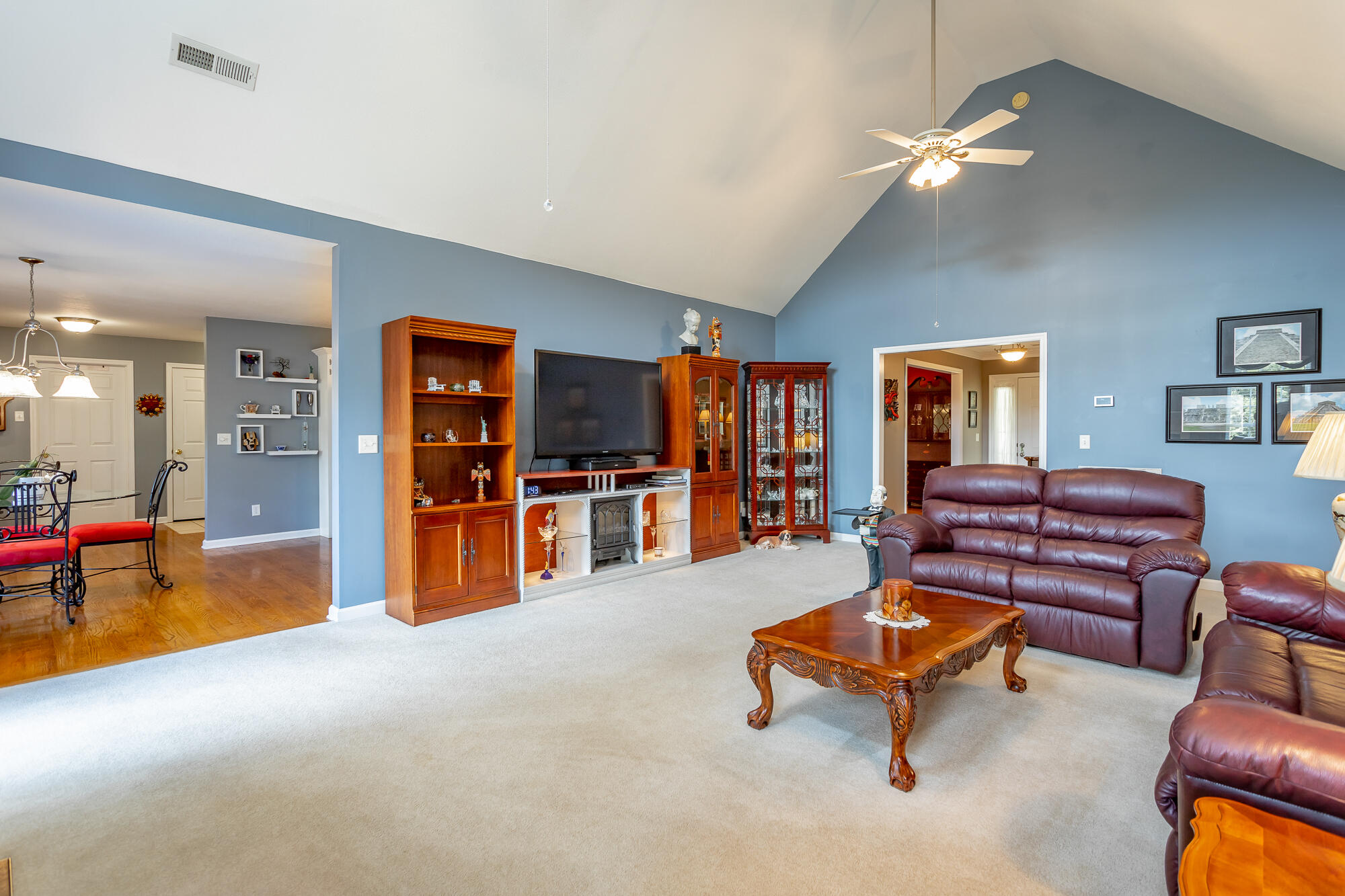 1009 Clift Cave Drive
