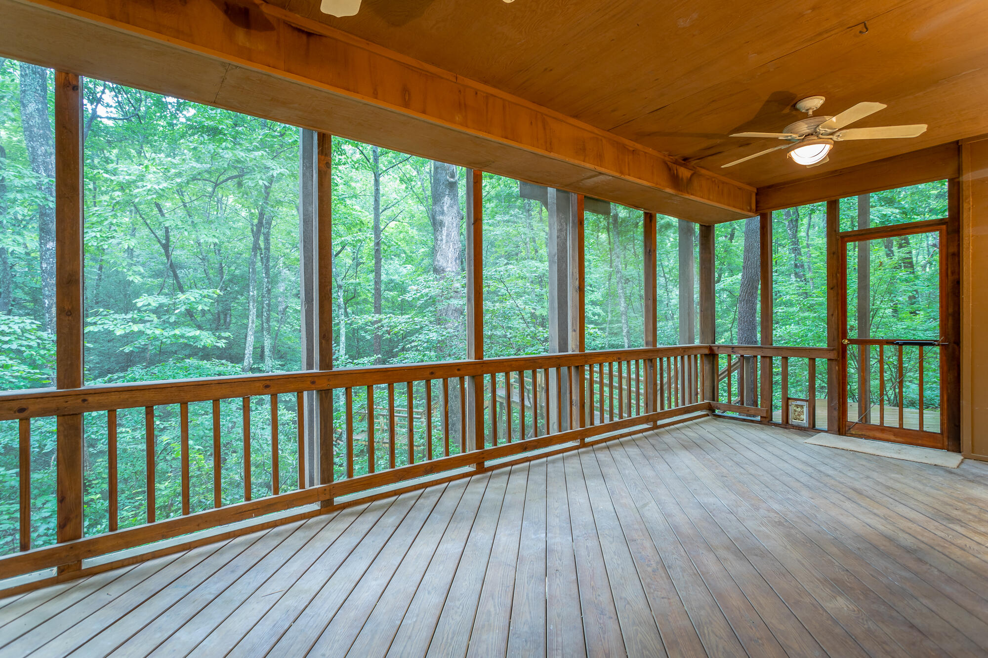 6239 Forest Trail