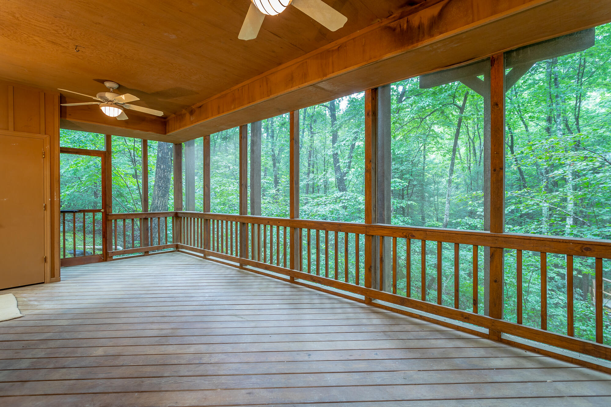 6239 Forest Trail