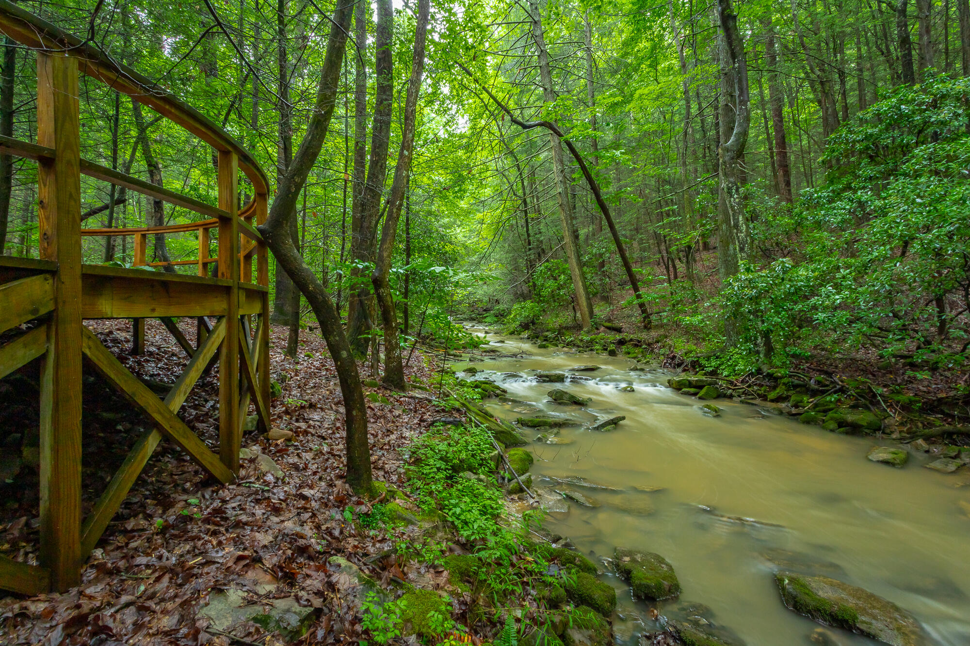 6239 Forest Trail