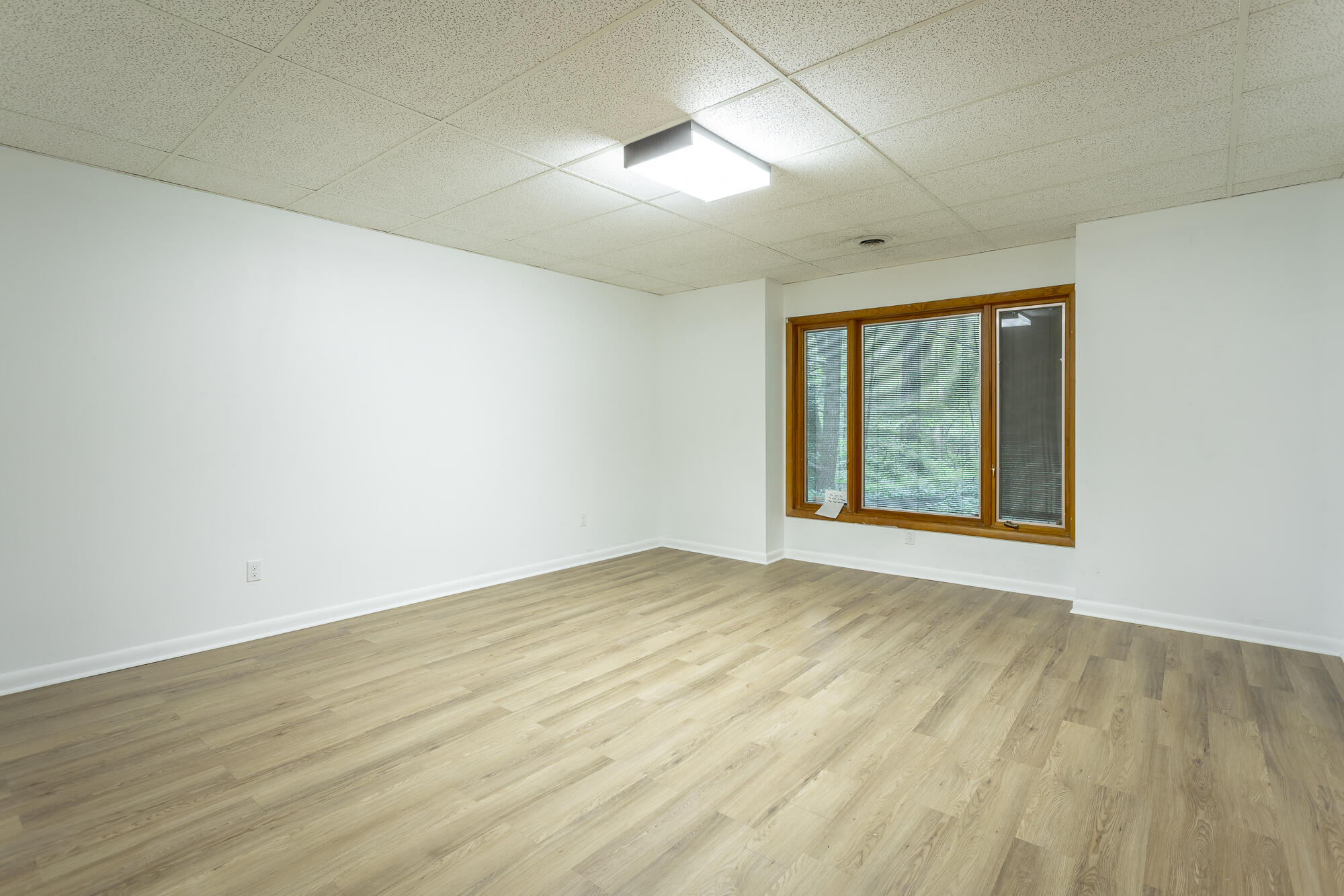 6239 Forest Trail