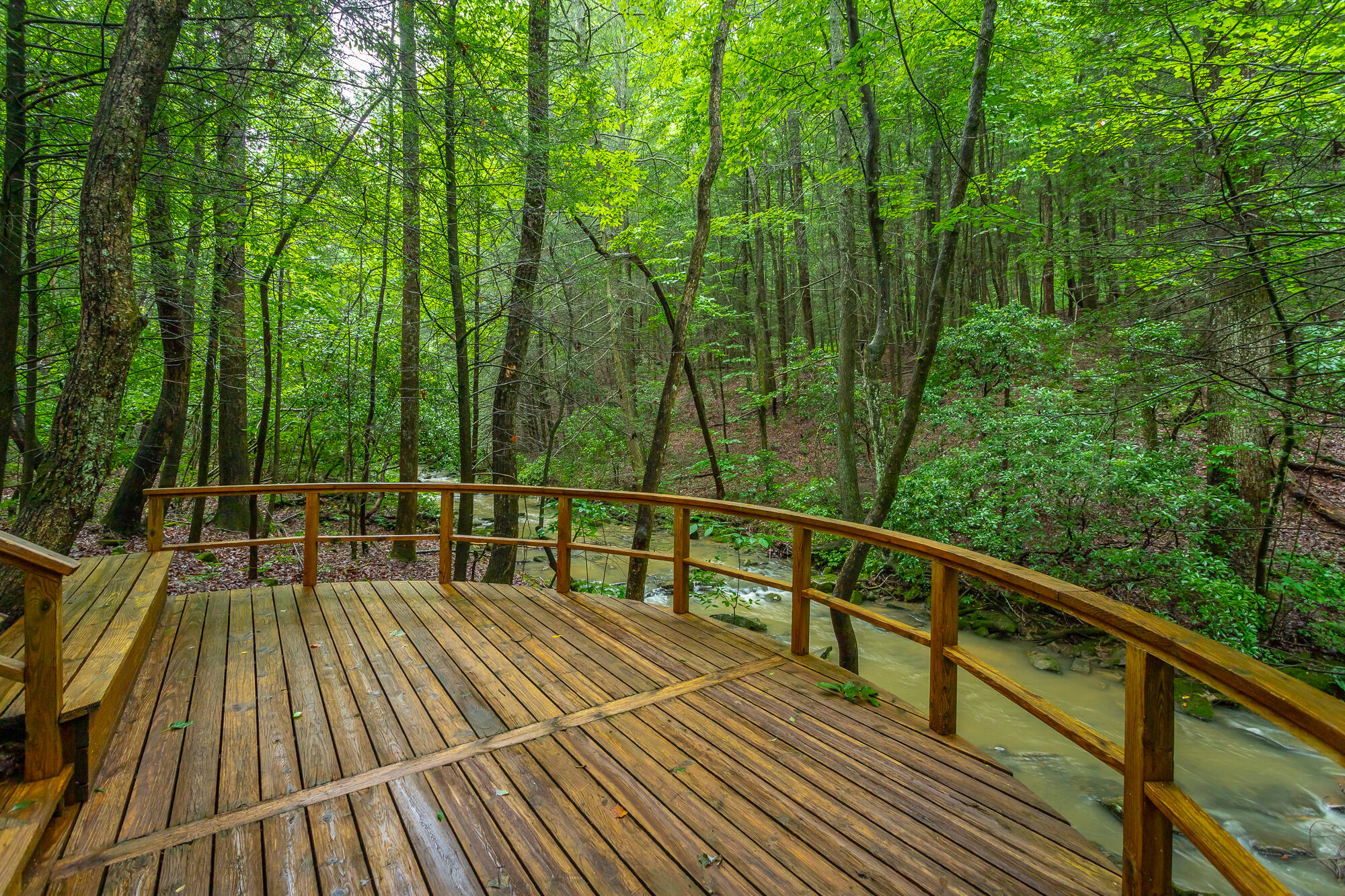 6239 Forest Trail