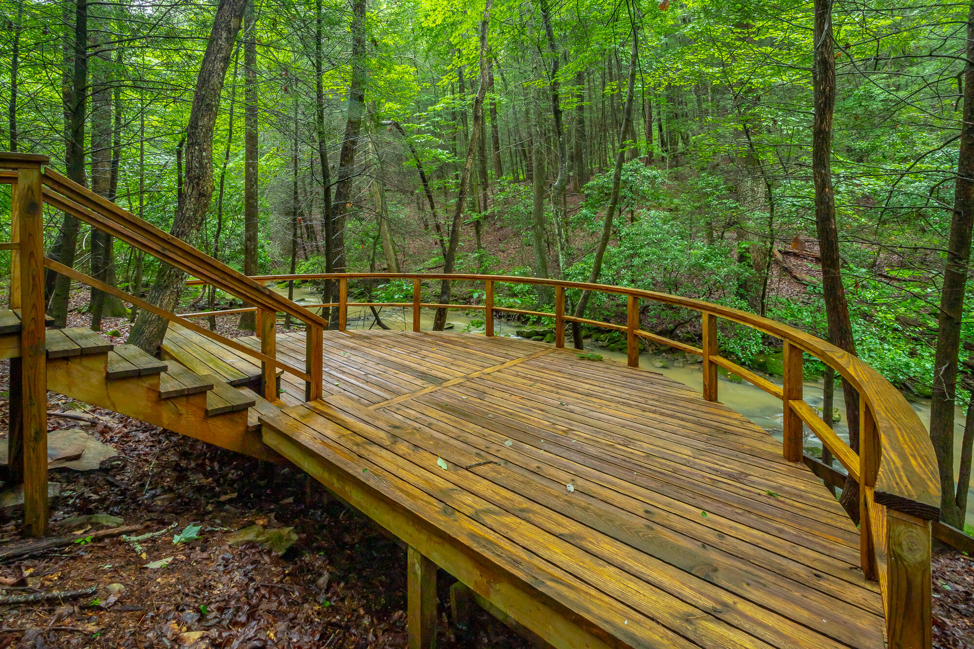 6239 Forest Trail