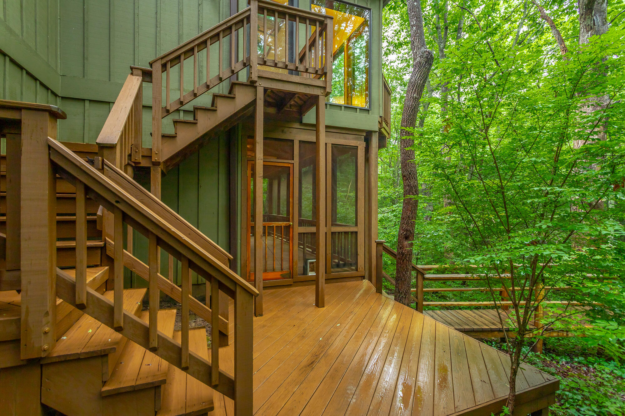 6239 Forest Trail