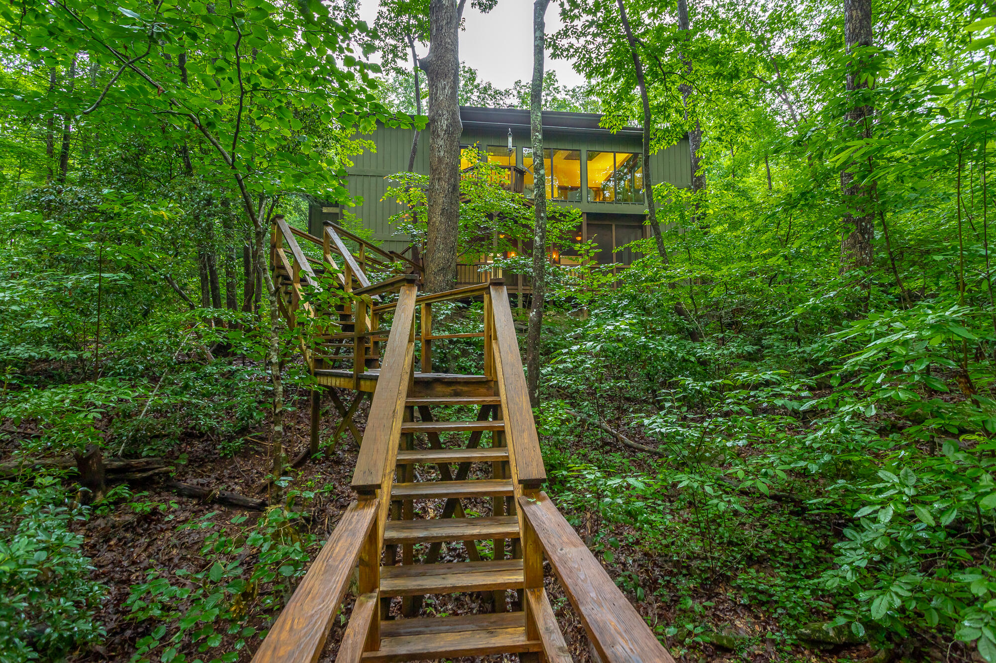 6239 Forest Trail