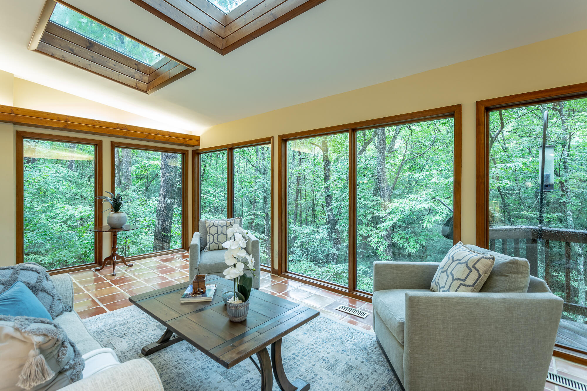 6239 Forest Trail