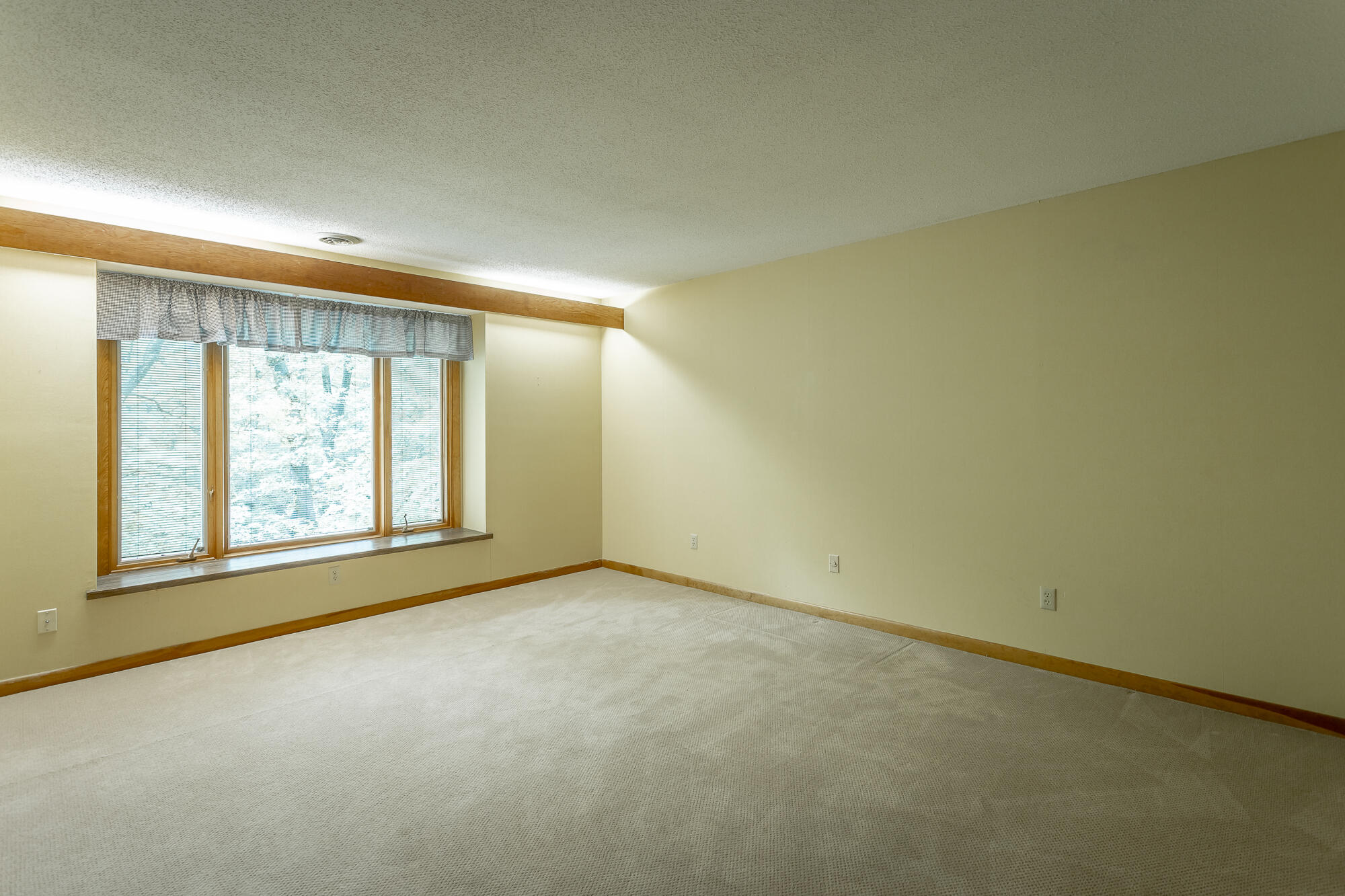 6239 Forest Trail