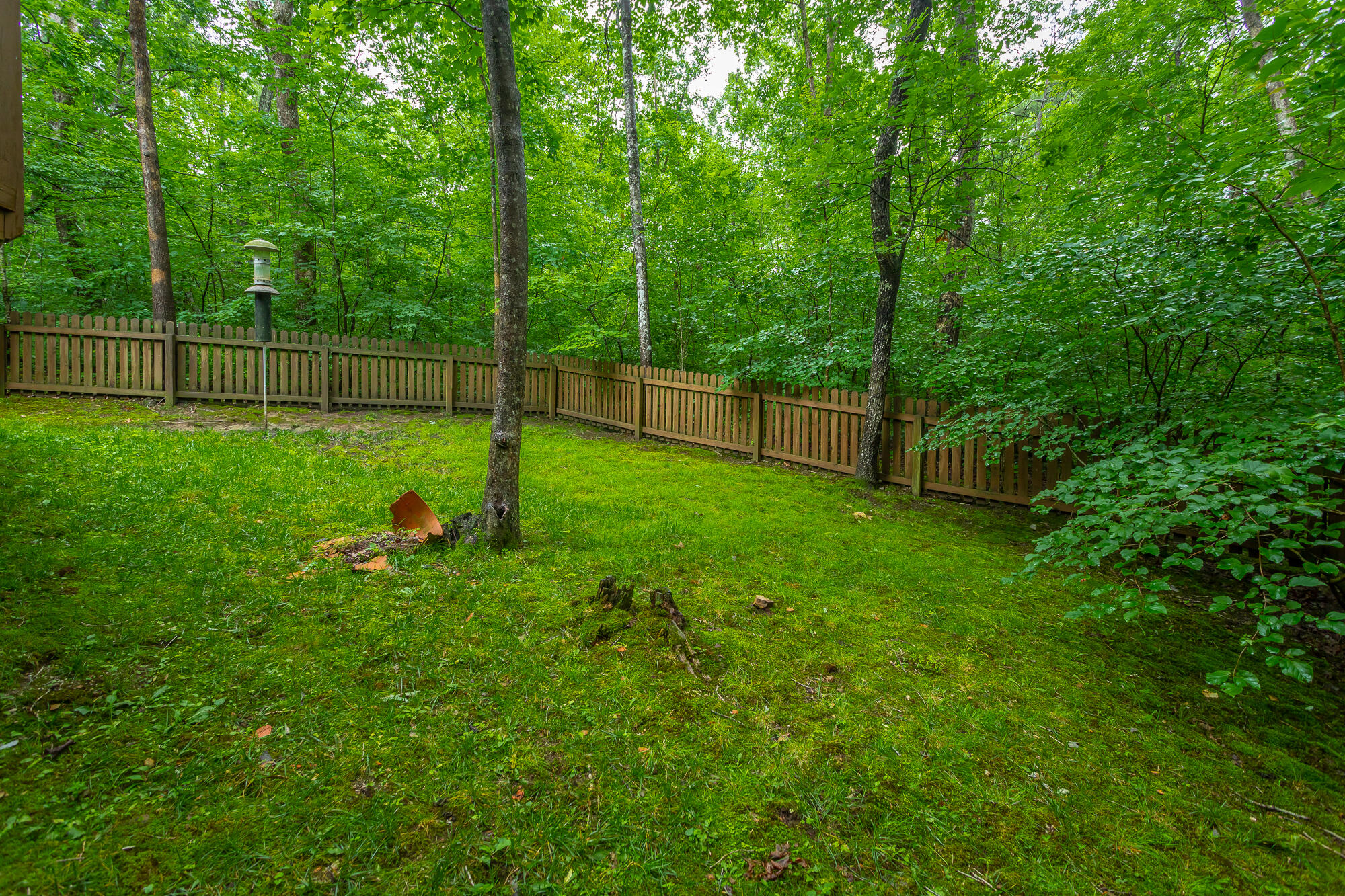 6239 Forest Trail