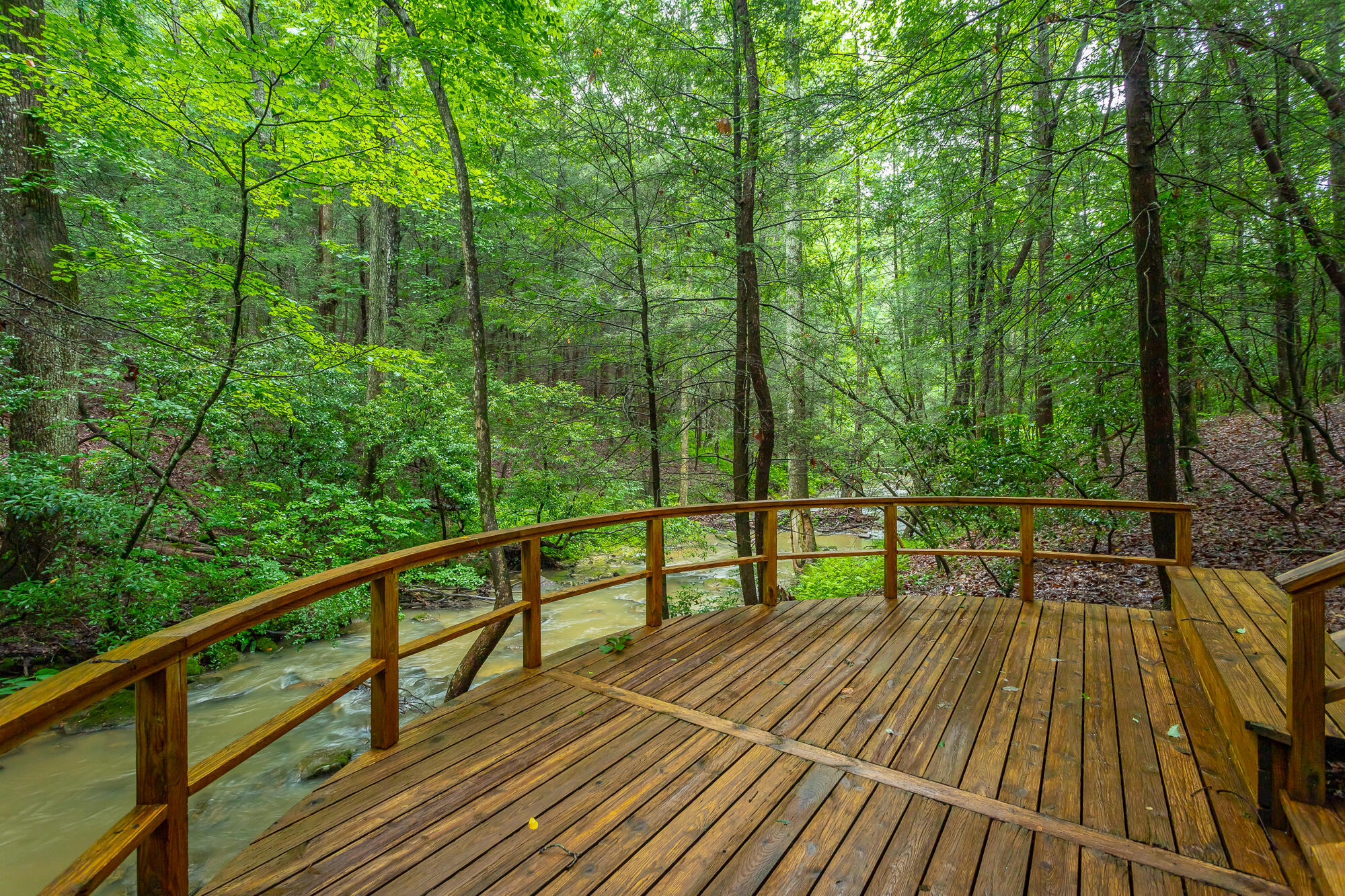 6239 Forest Trail