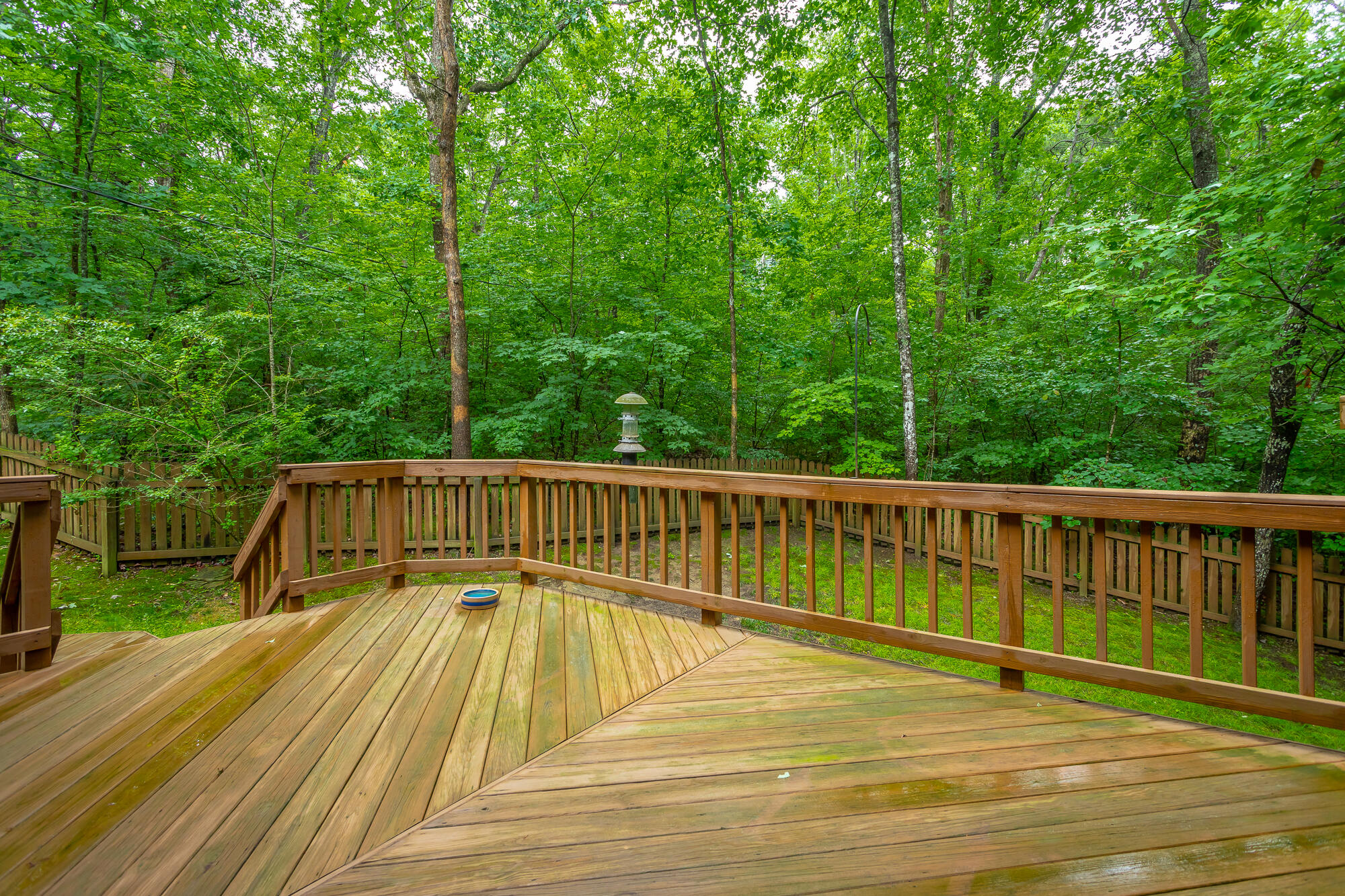 6239 Forest Trail