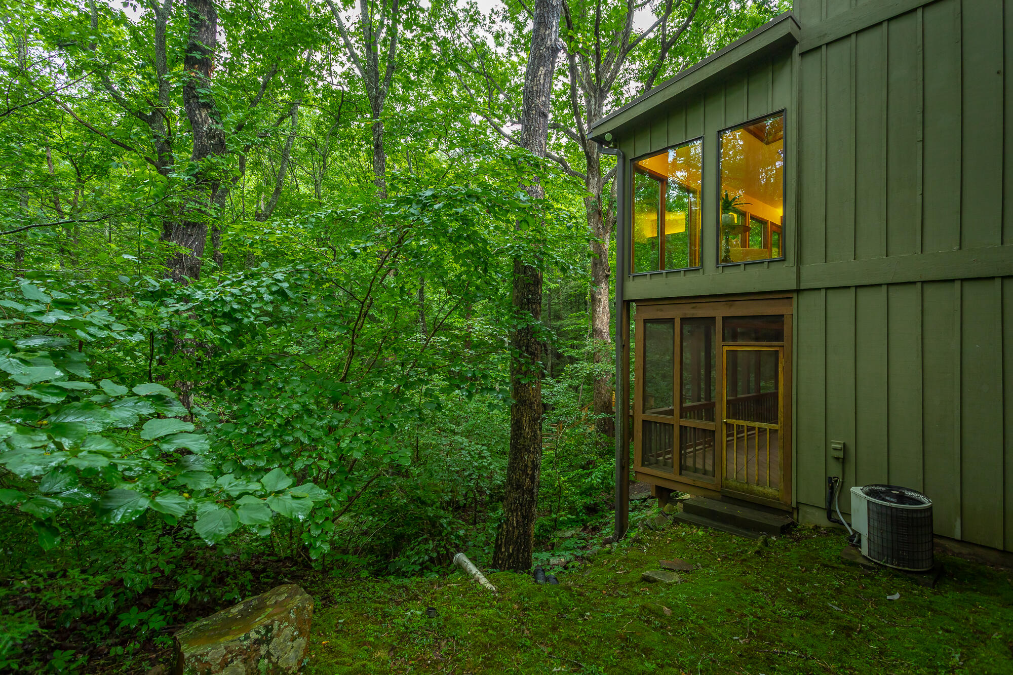 6239 Forest Trail