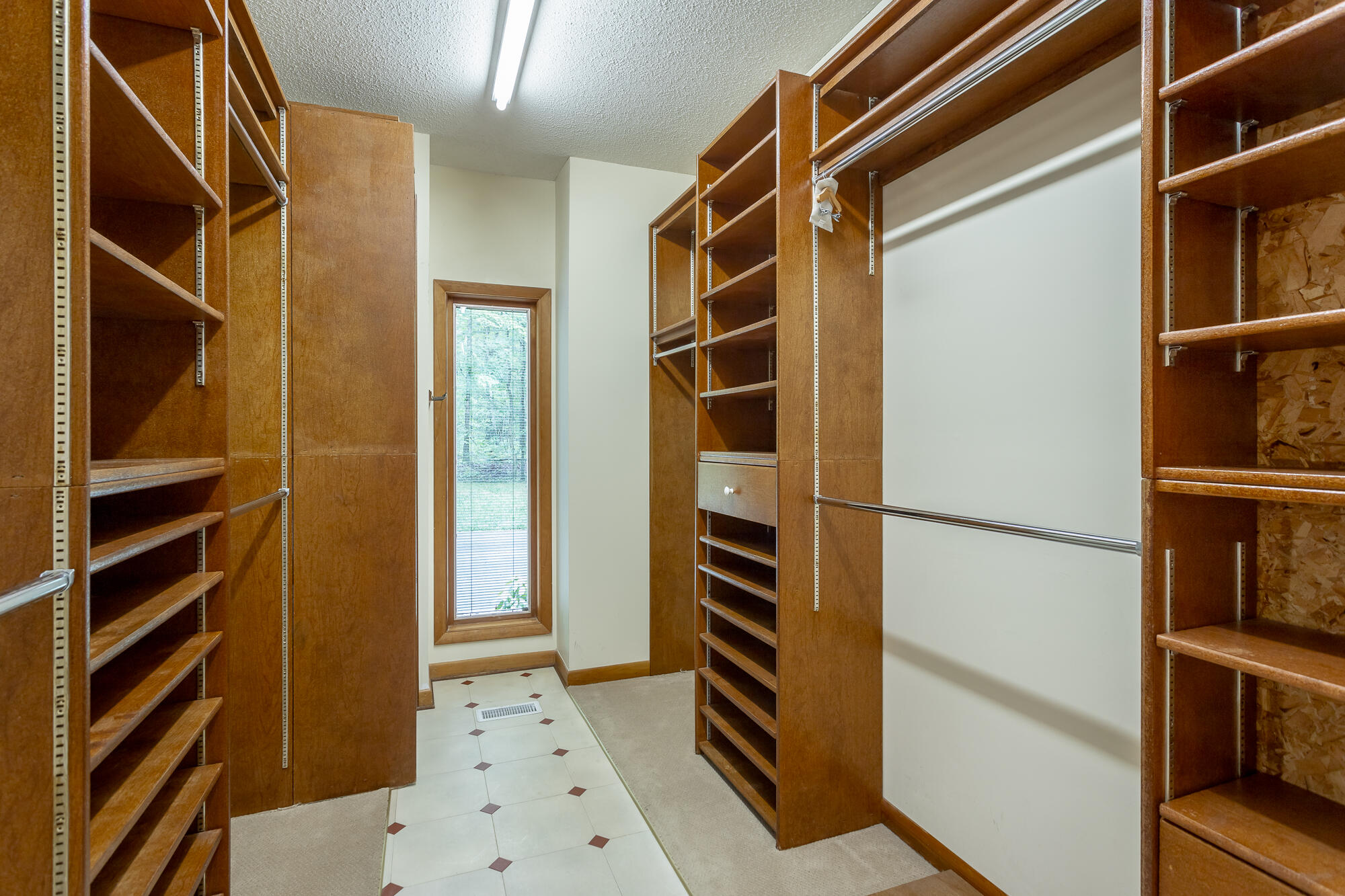 6239 Forest Trail