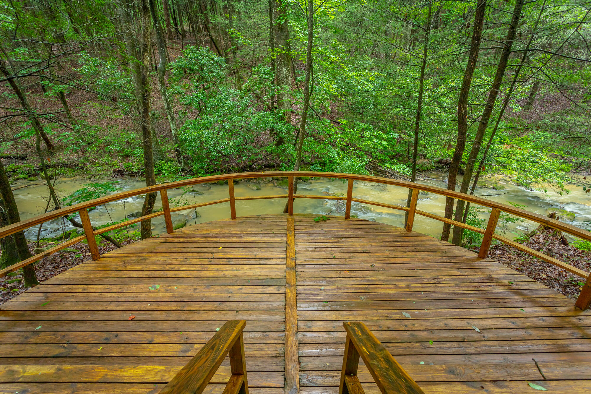 6239 Forest Trail
