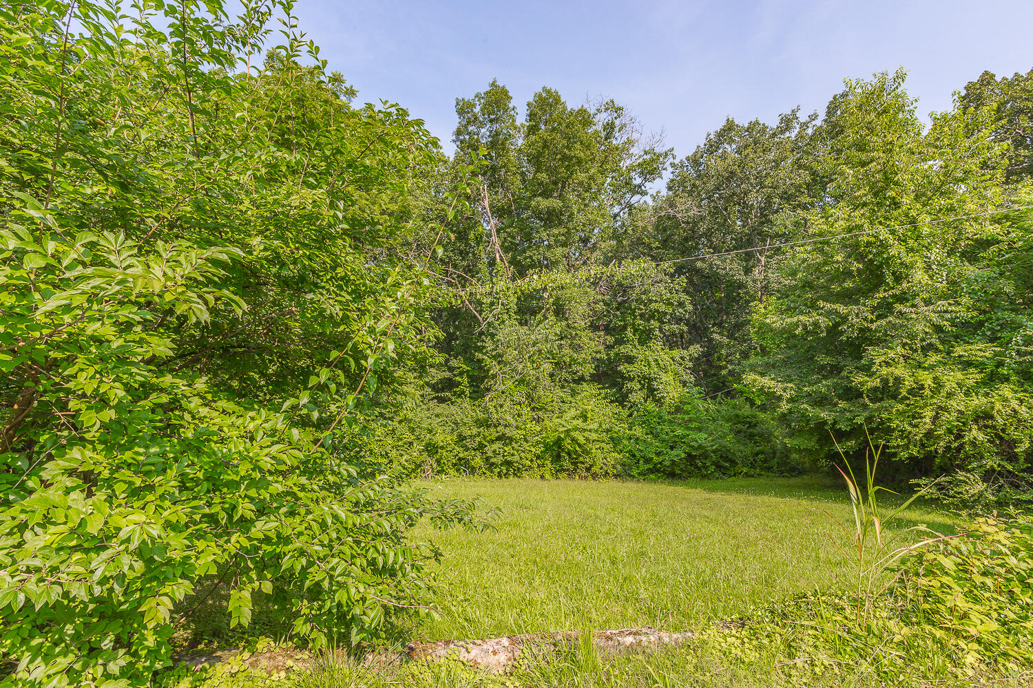 2843 Ozark Road
