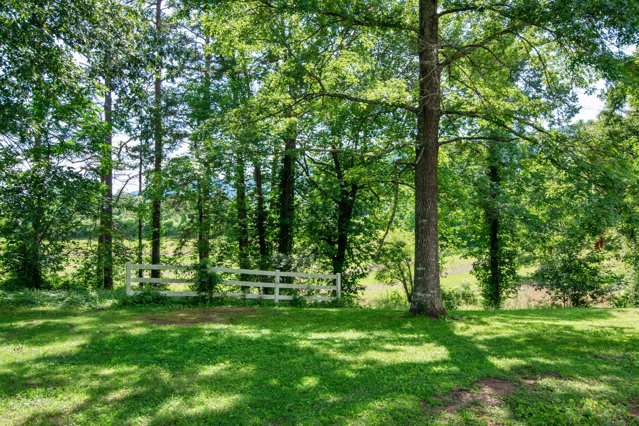 73 Greer Drive