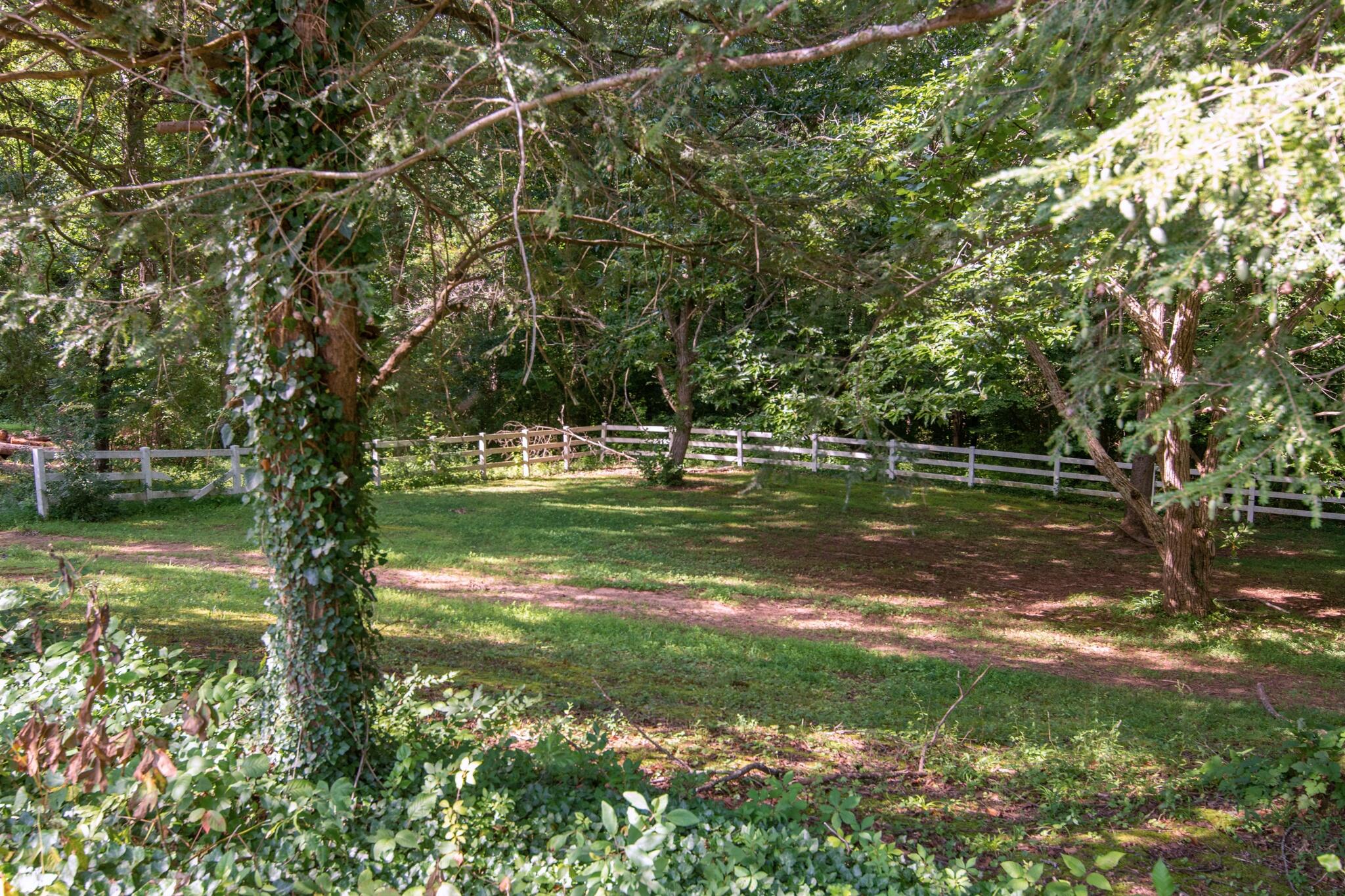 73 Greer Drive
