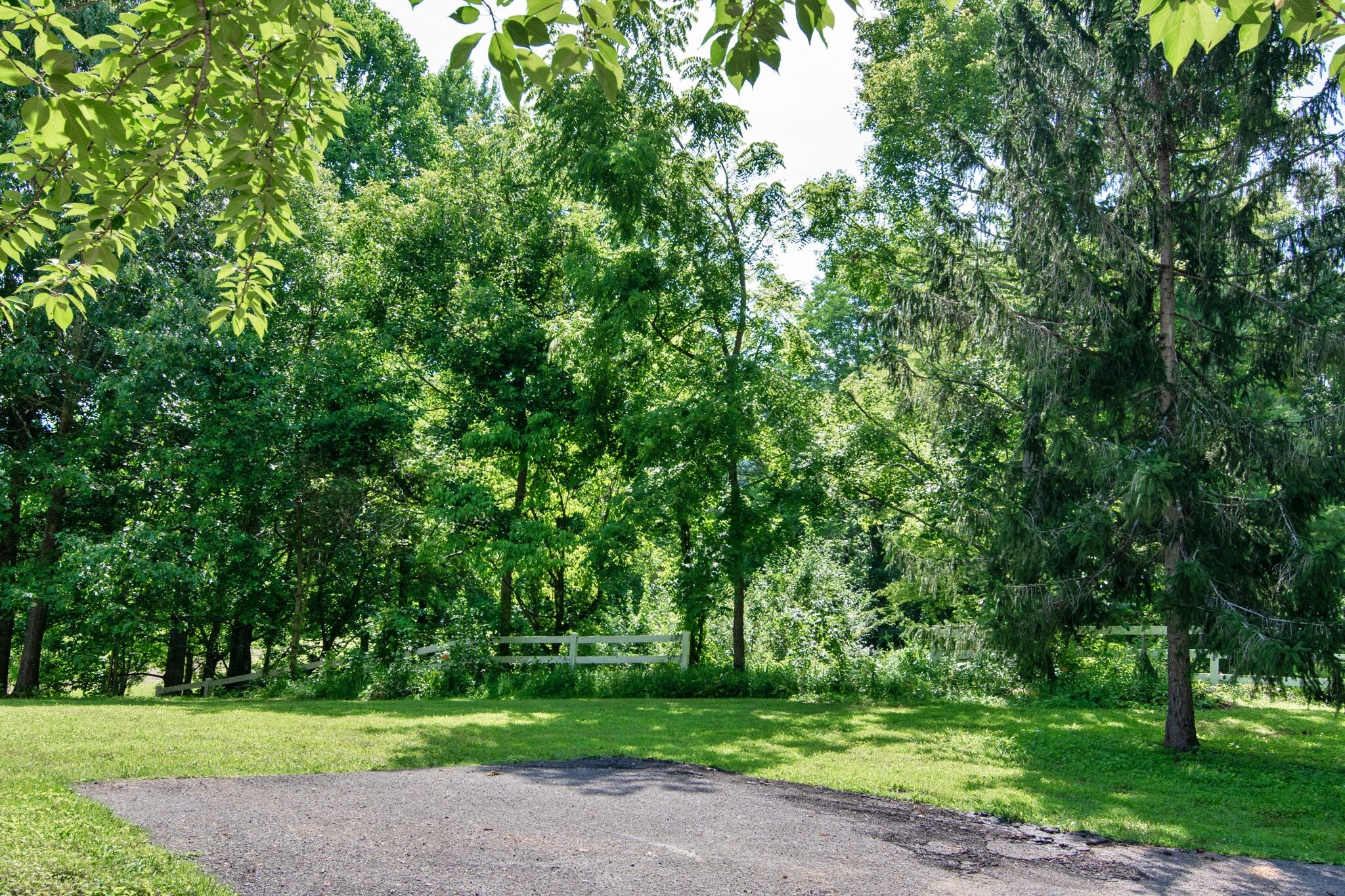 73 Greer Drive