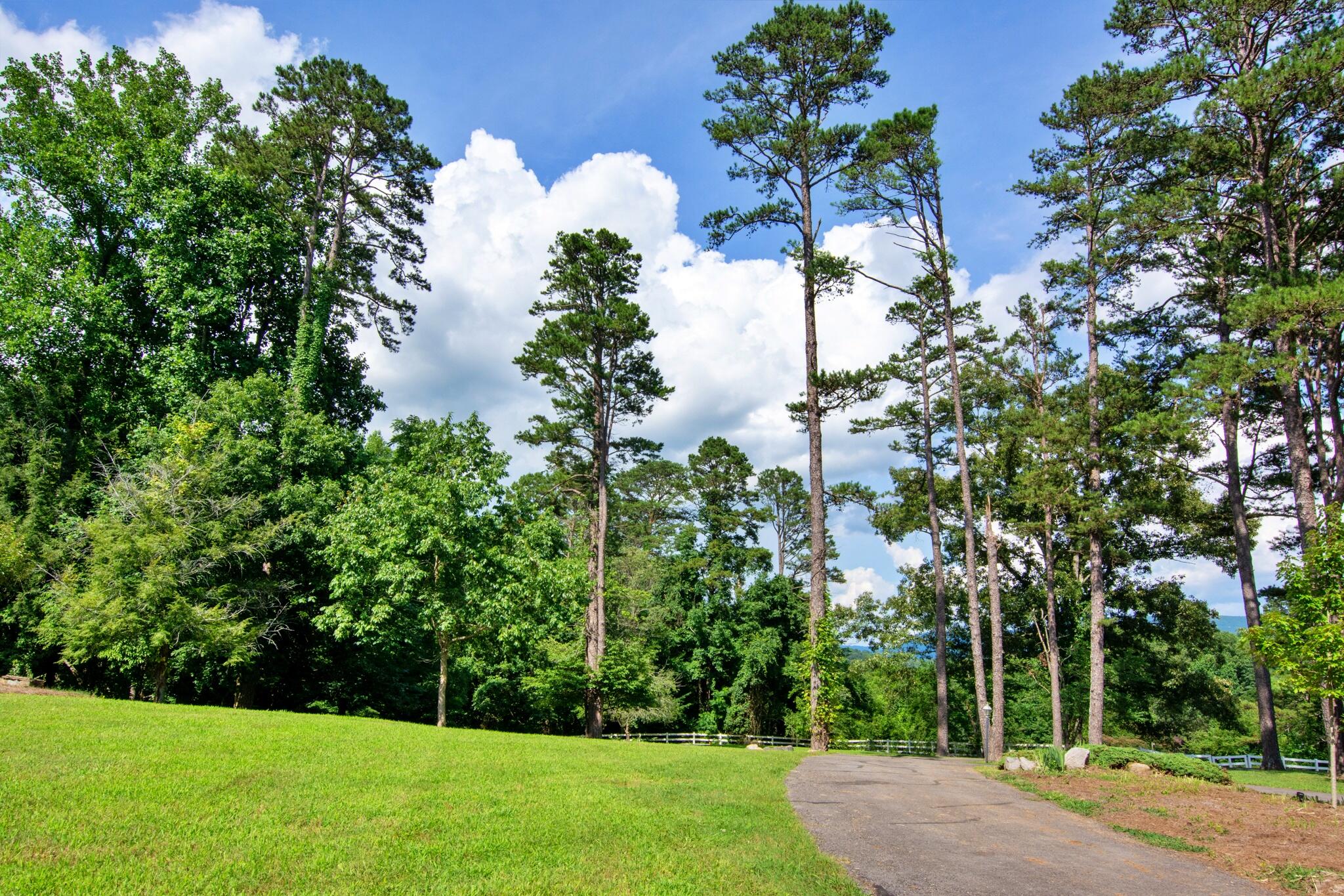 73 Greer Drive