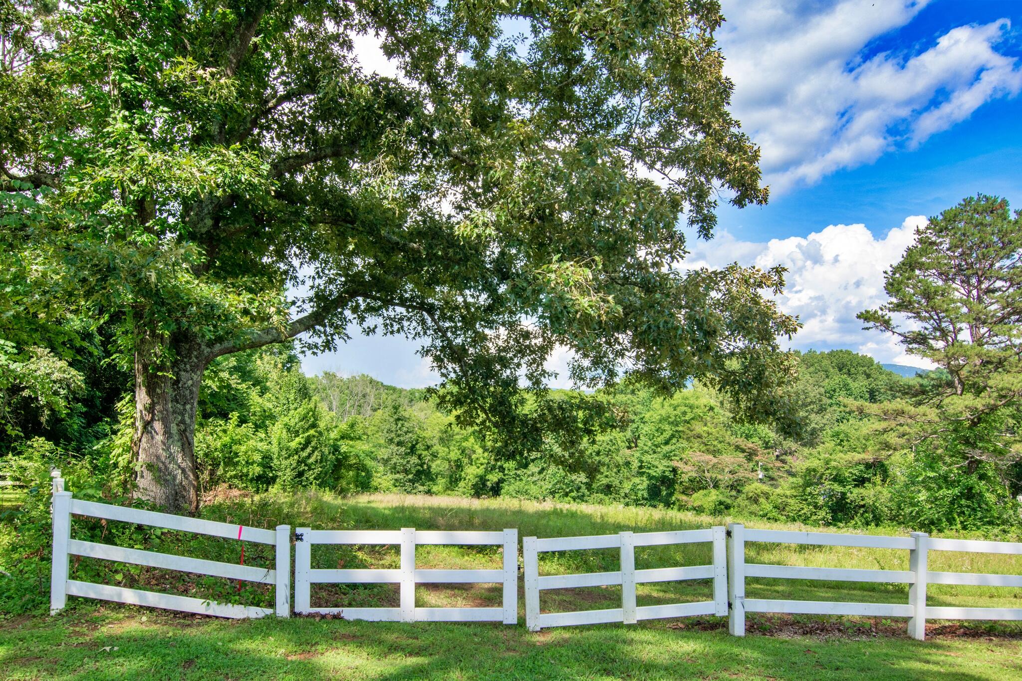 73 Greer Drive