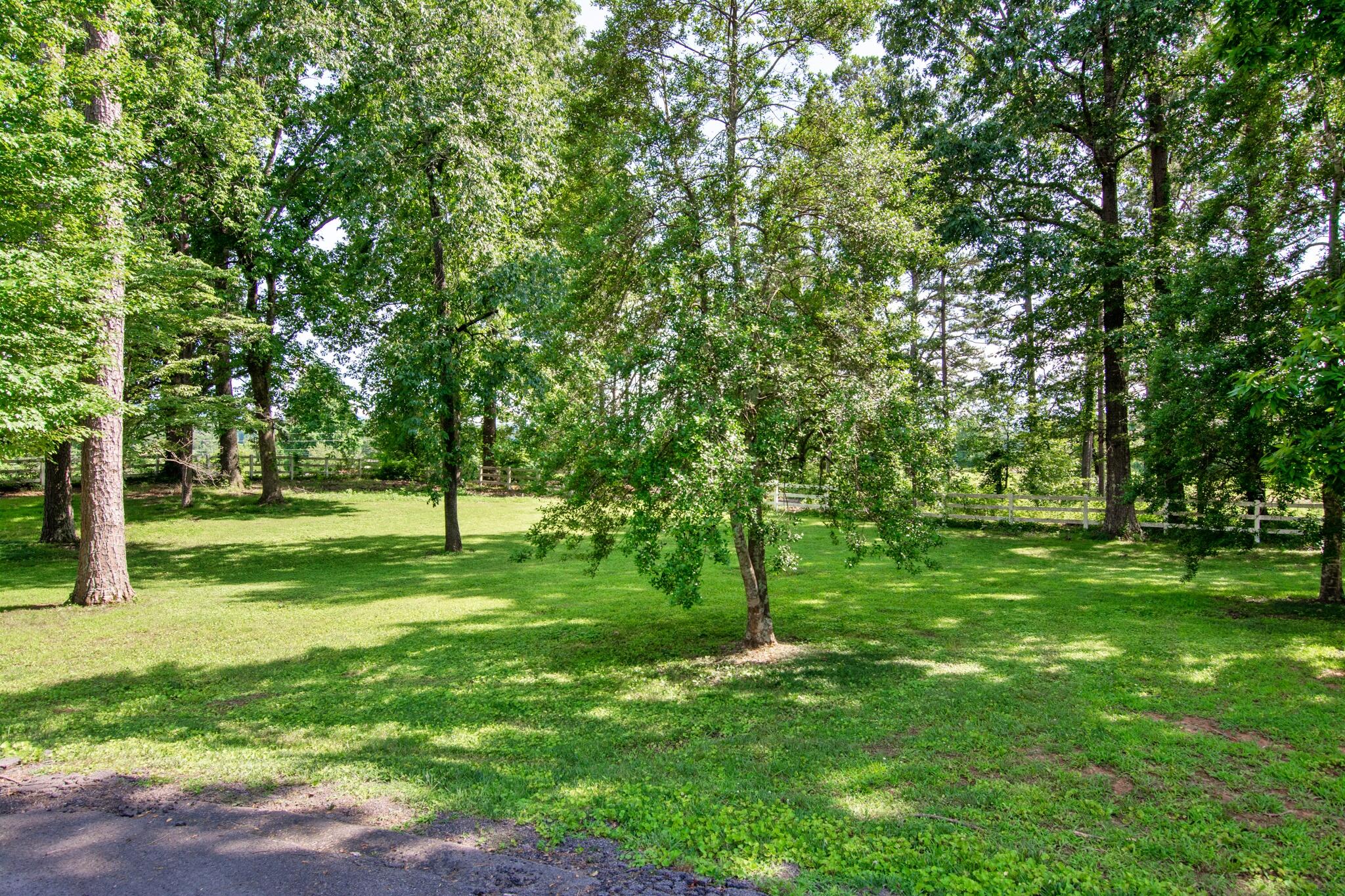 73 Greer Drive