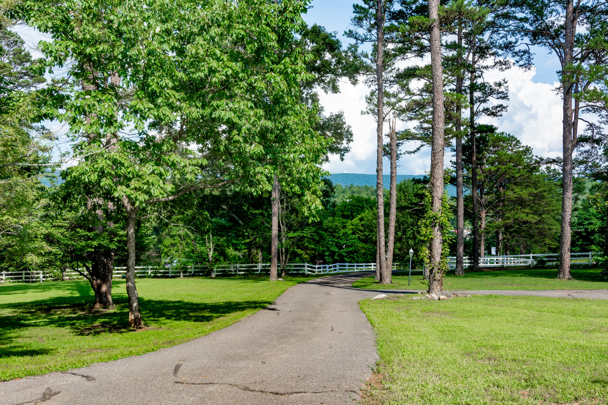 73 Greer Drive