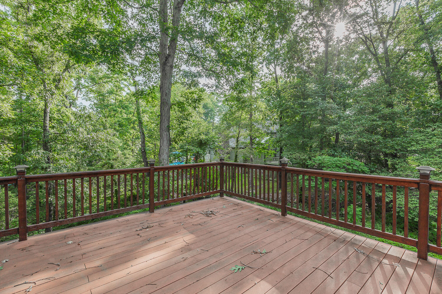 731 Morning Shadows Drive