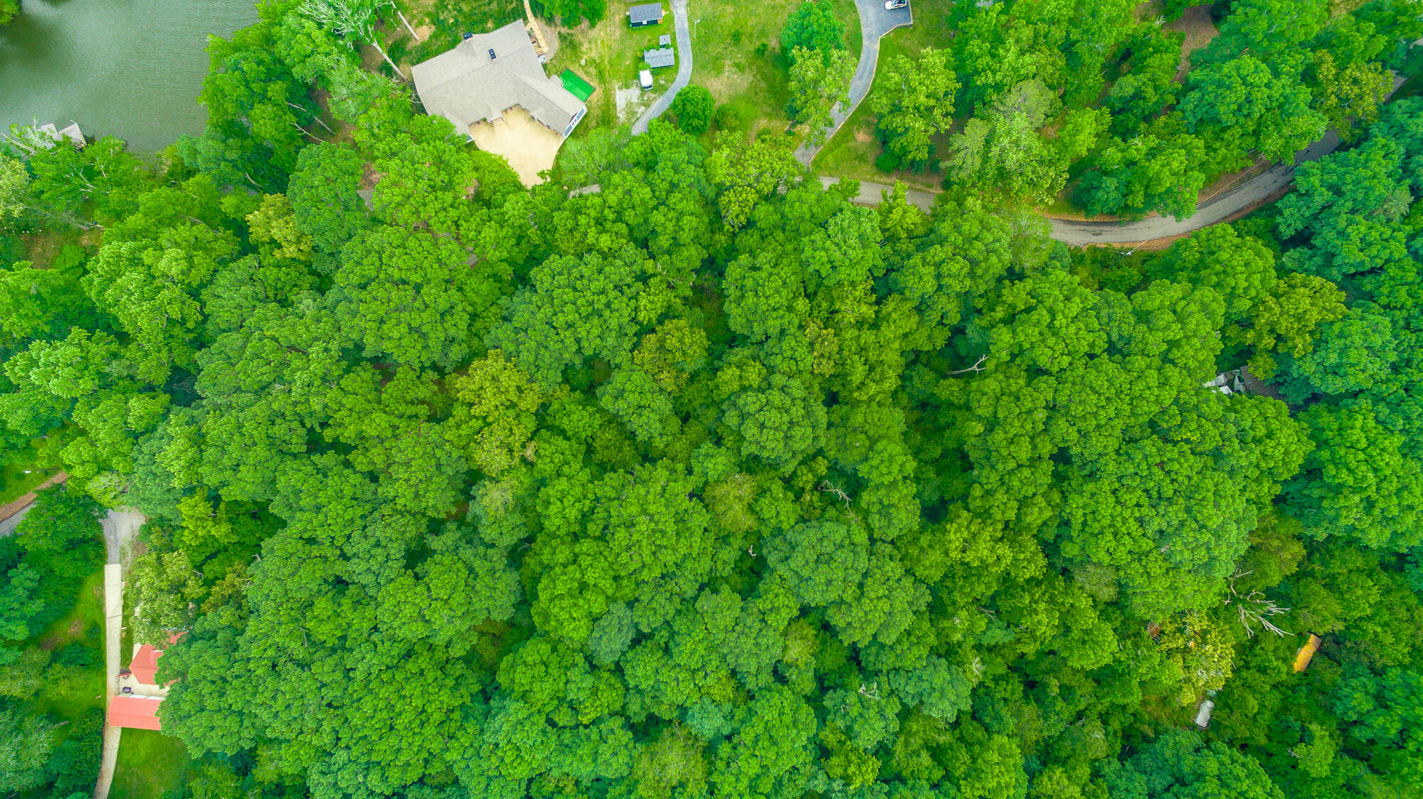 5905 Dogwood Drive, 95a