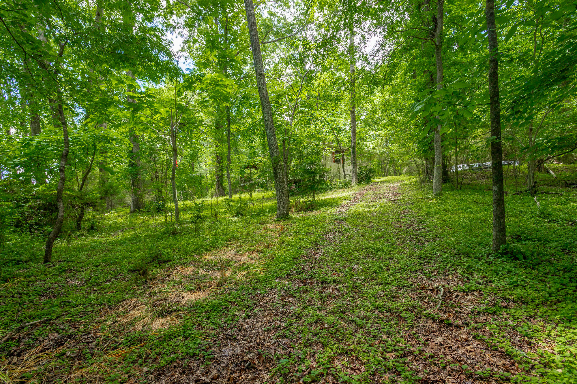 5905 Dogwood Drive, 95a