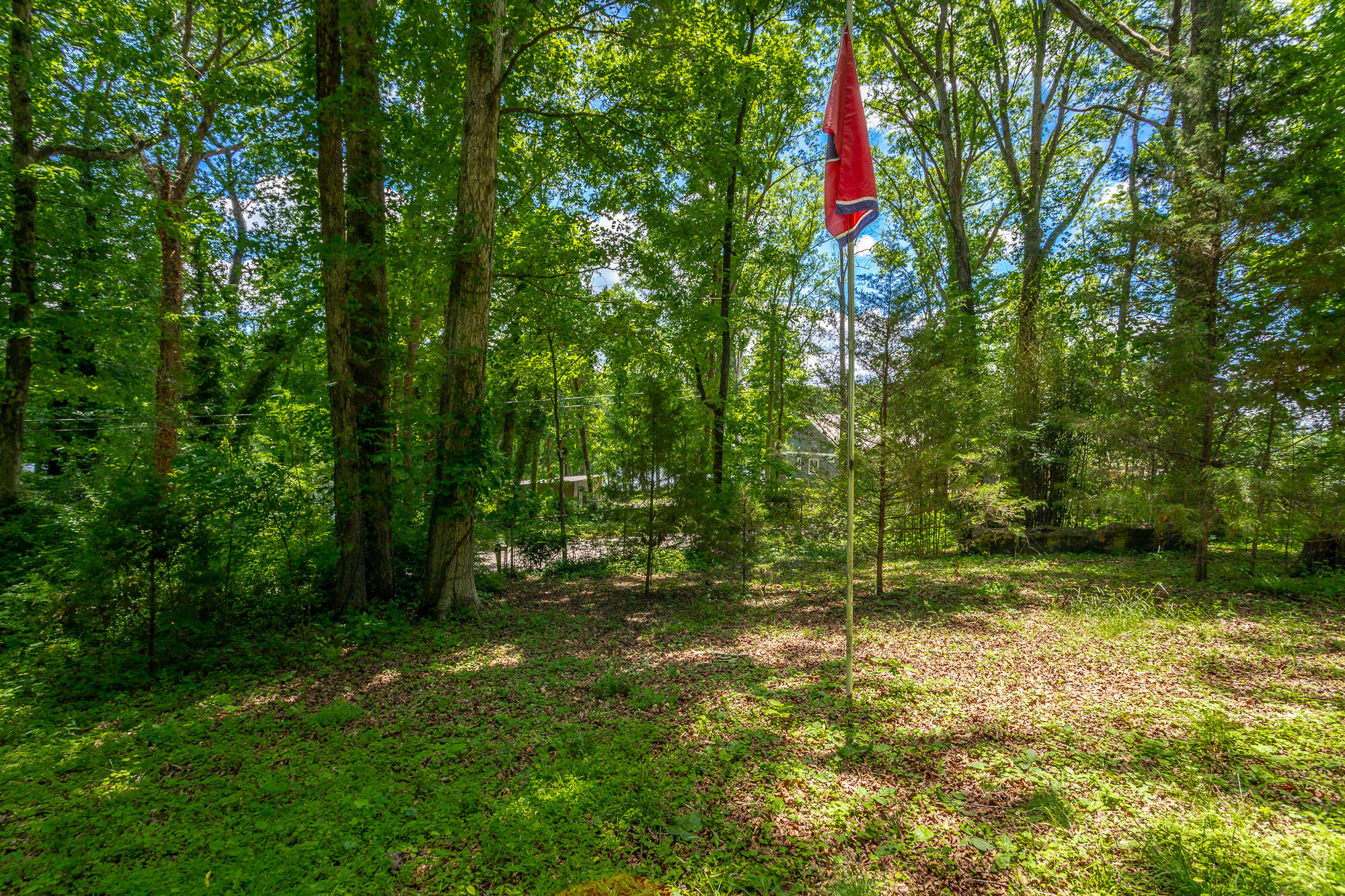 5905 Dogwood Drive, 95a