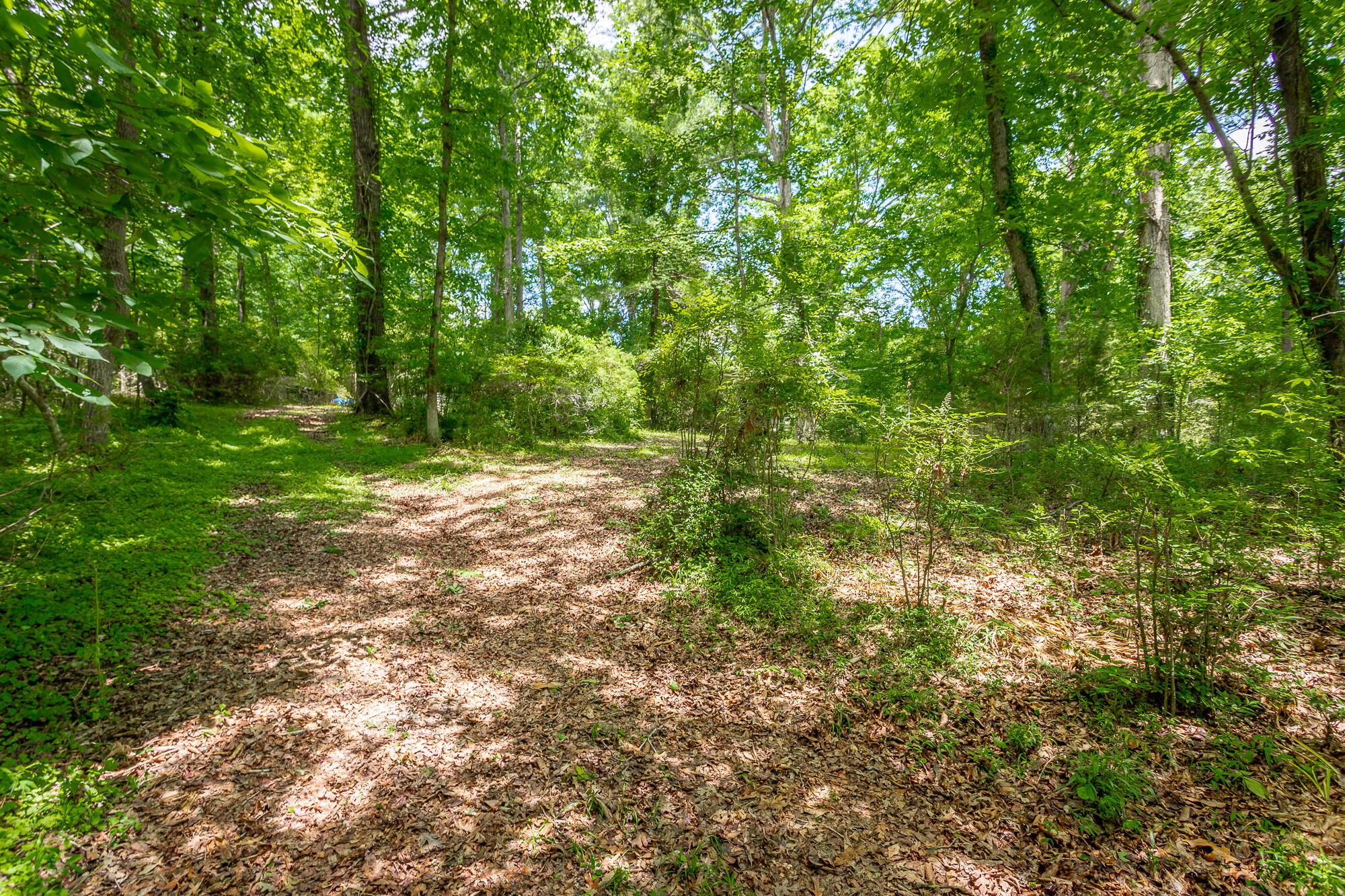 5905 Dogwood Drive, 95a