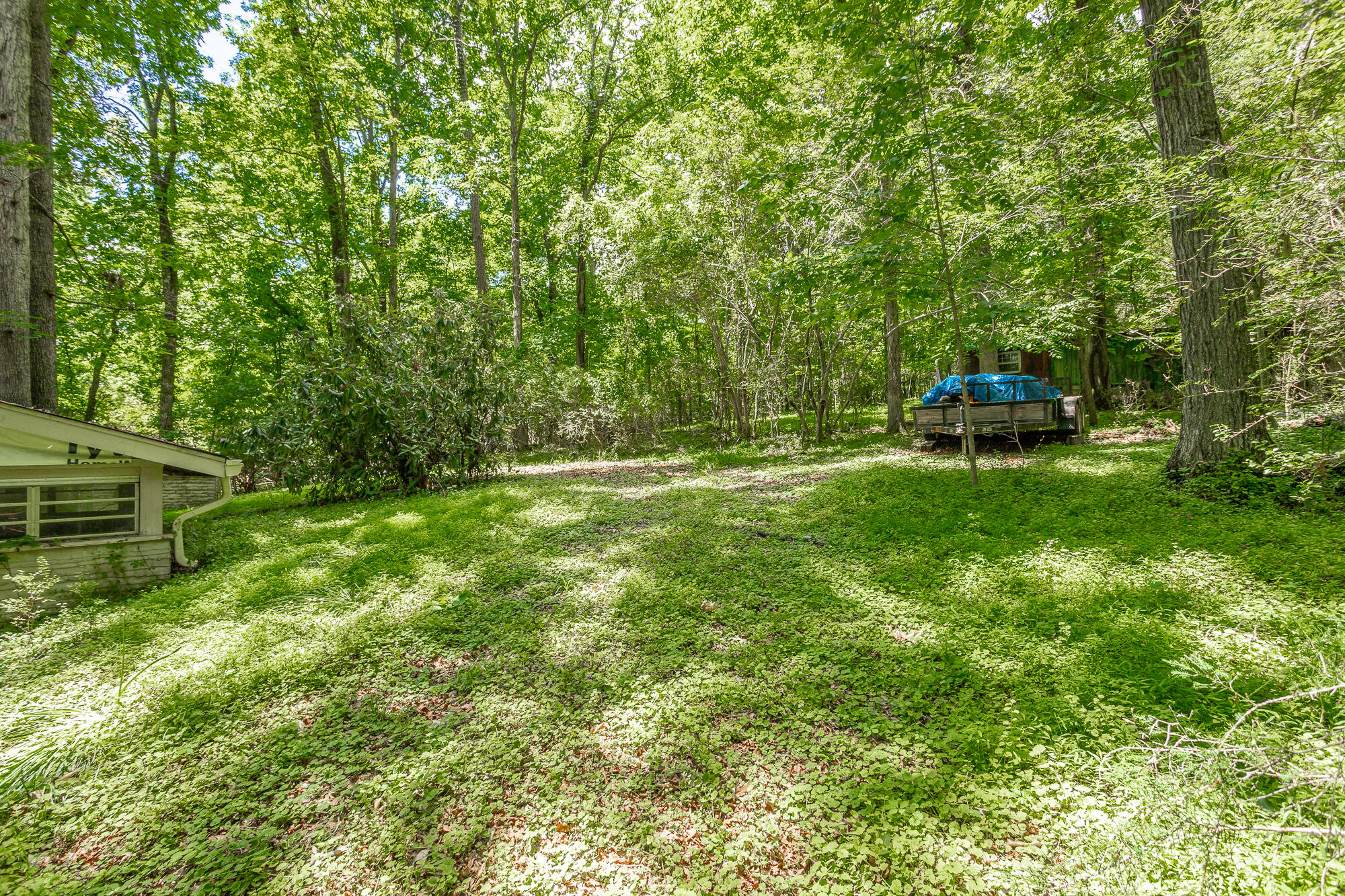 5905 Dogwood Drive, 95a