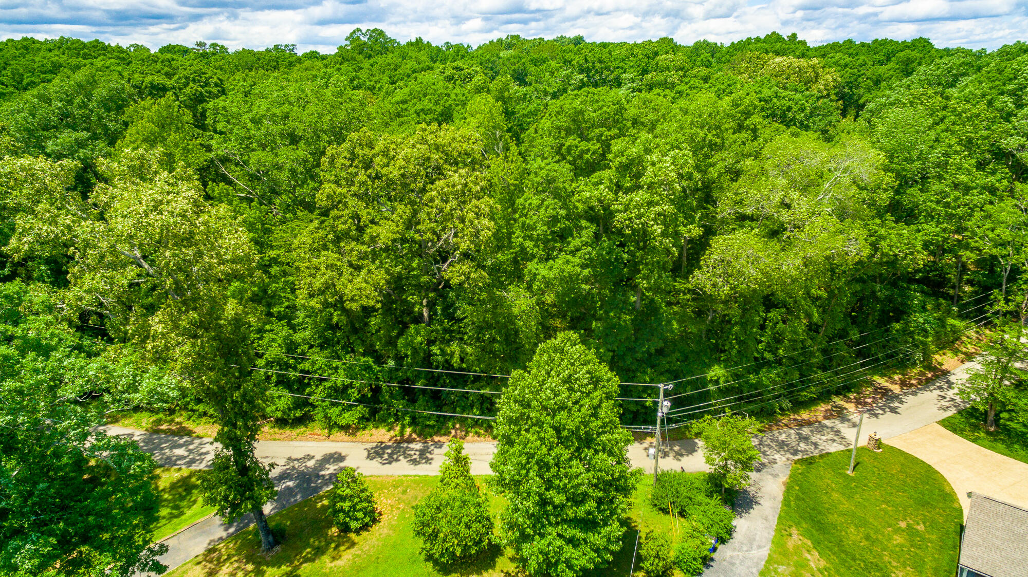 5905 Dogwood Drive, 95a