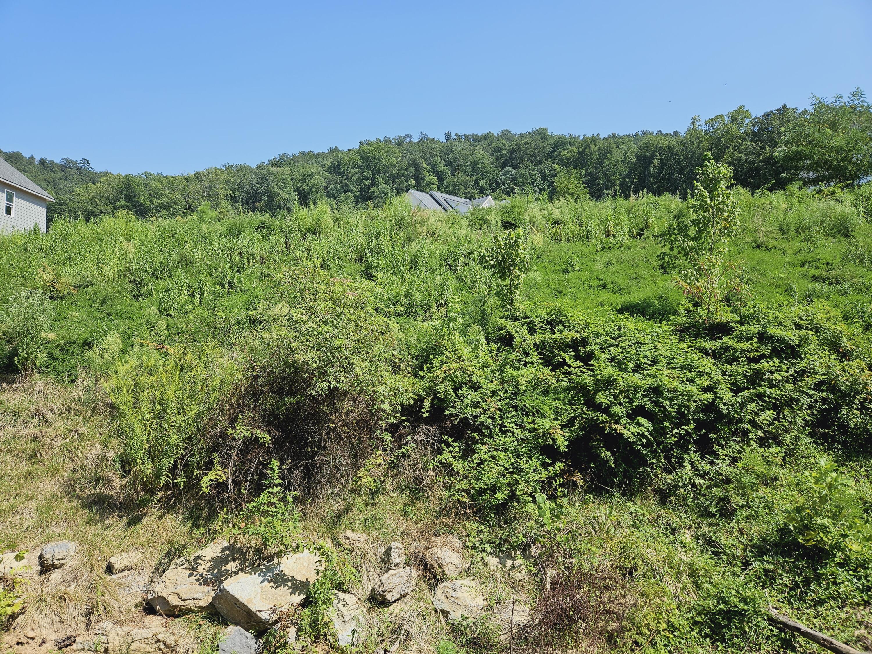 4077 Barnsley Loop, 71