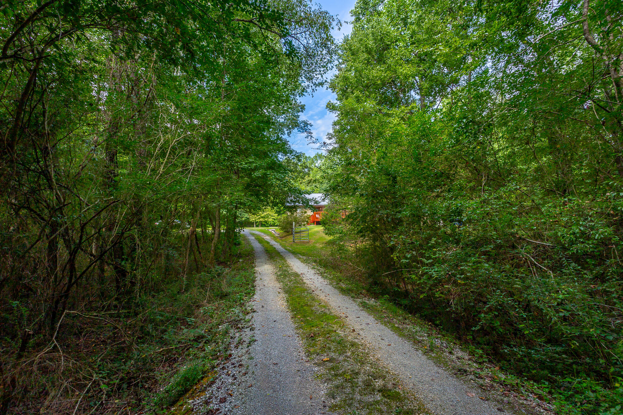 1006 W Schmitt Rd