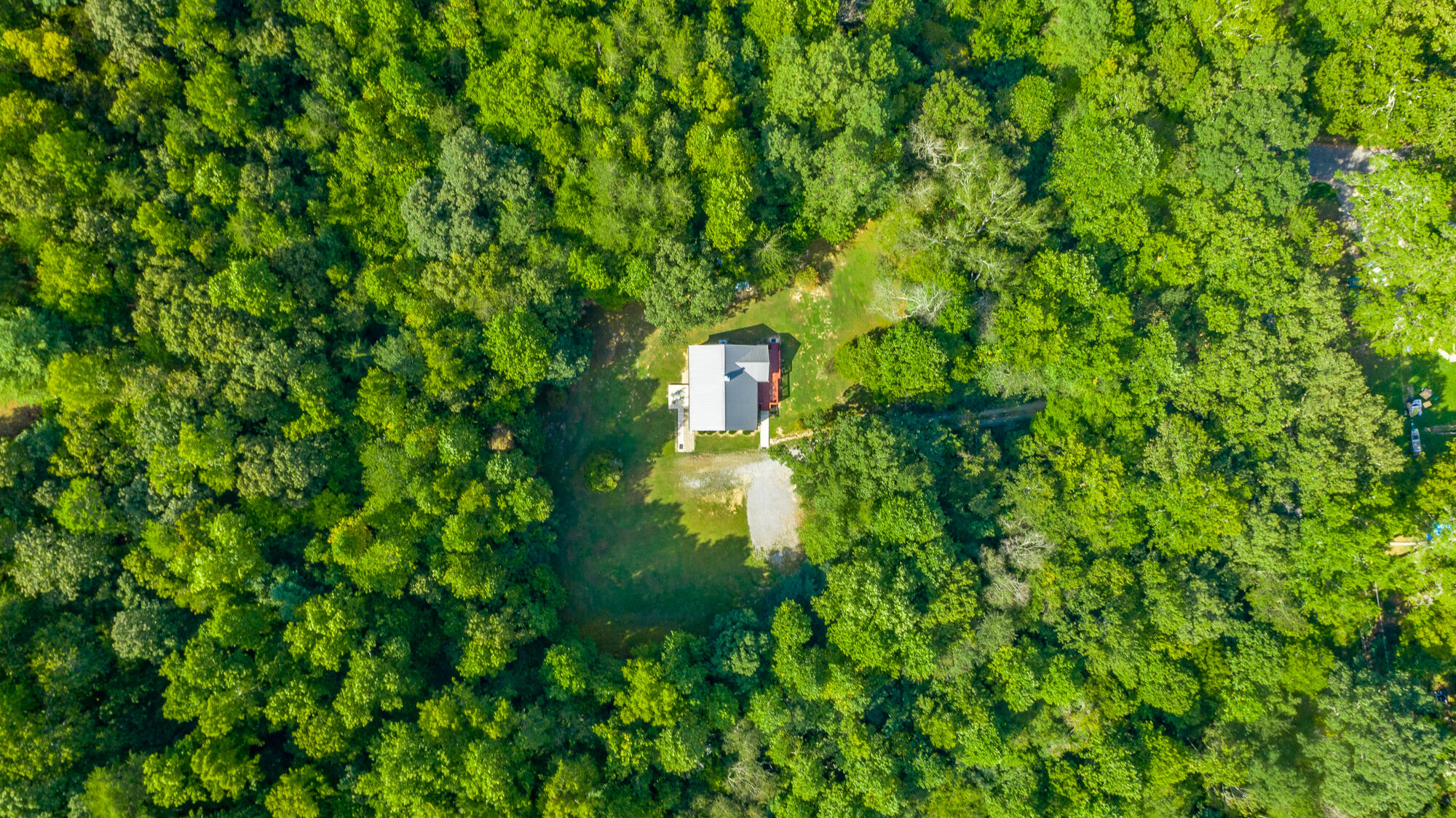 1006 W Schmitt Rd