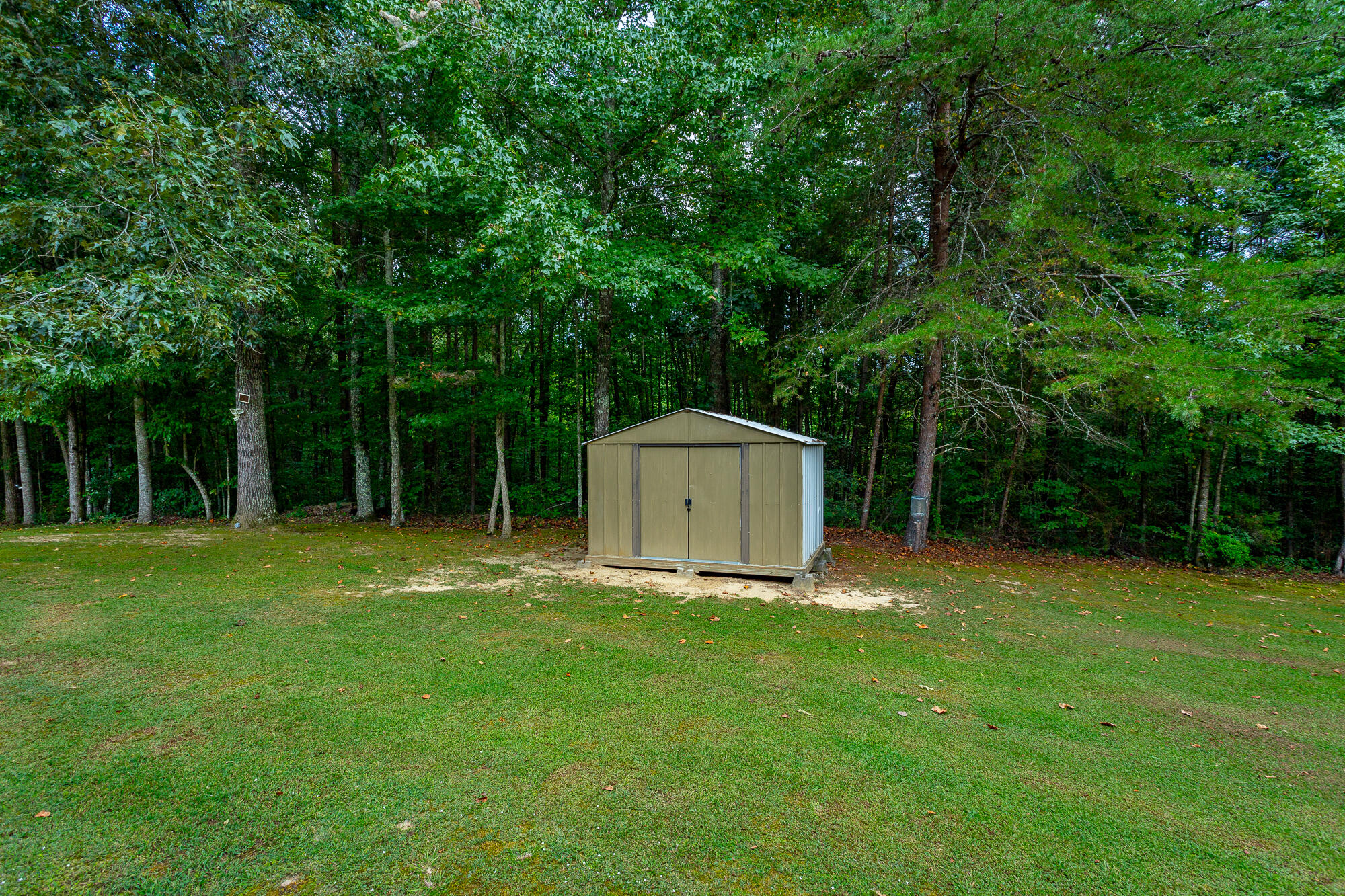 1006 W Schmitt Rd