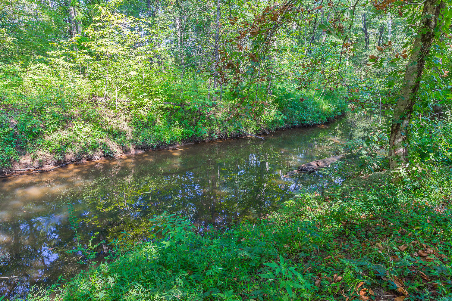 8443 Trout Lily Drive