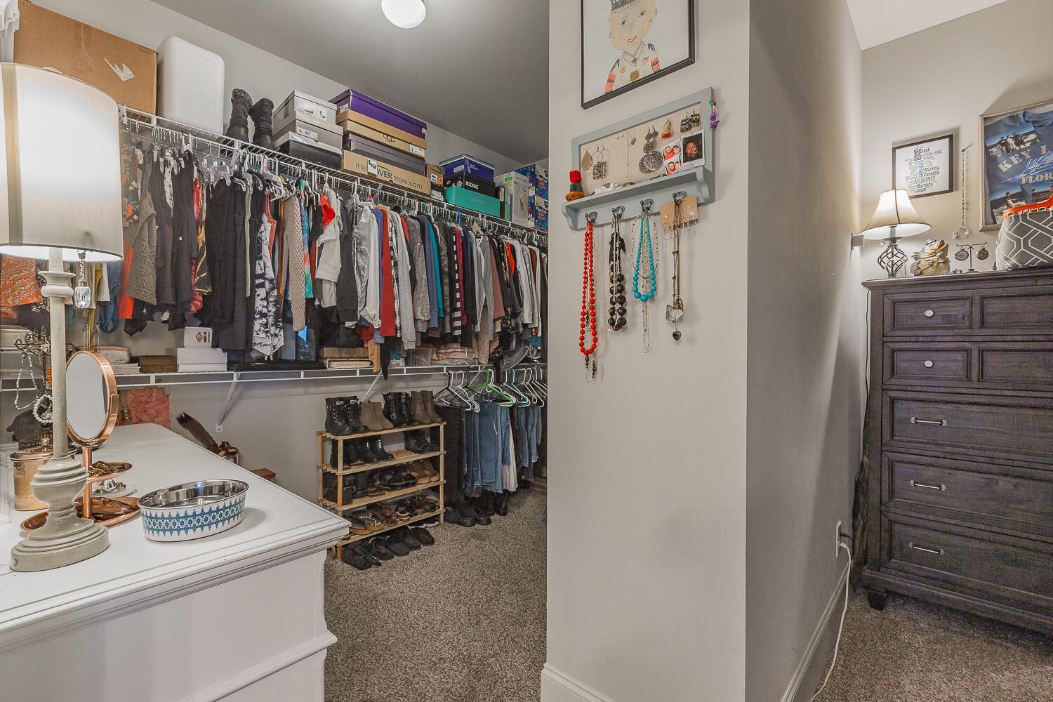 8443 Trout Lily Drive