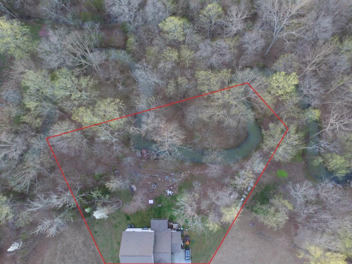 8443 Trout Lily Drive