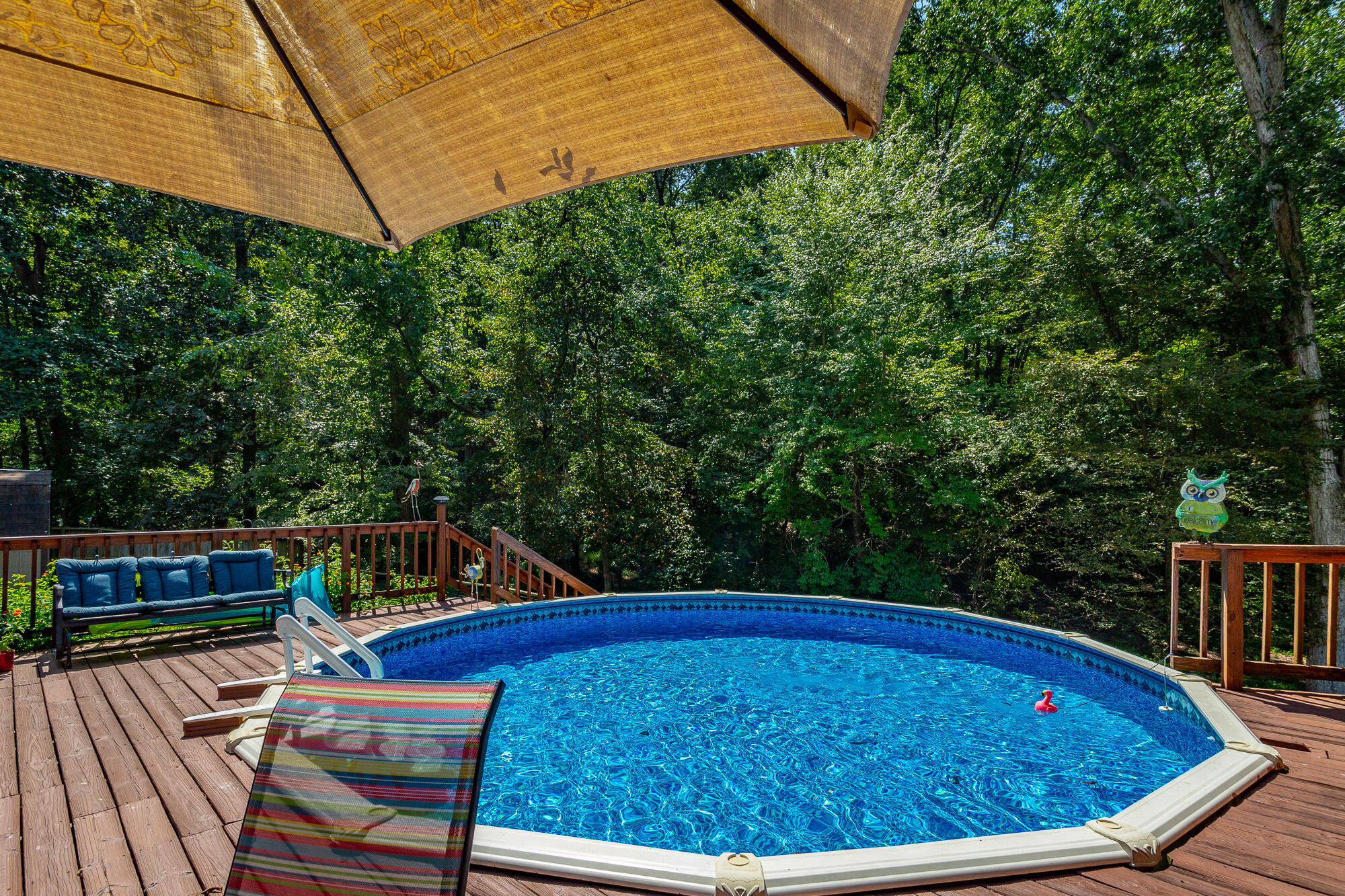 8921 Hidden Branches Road