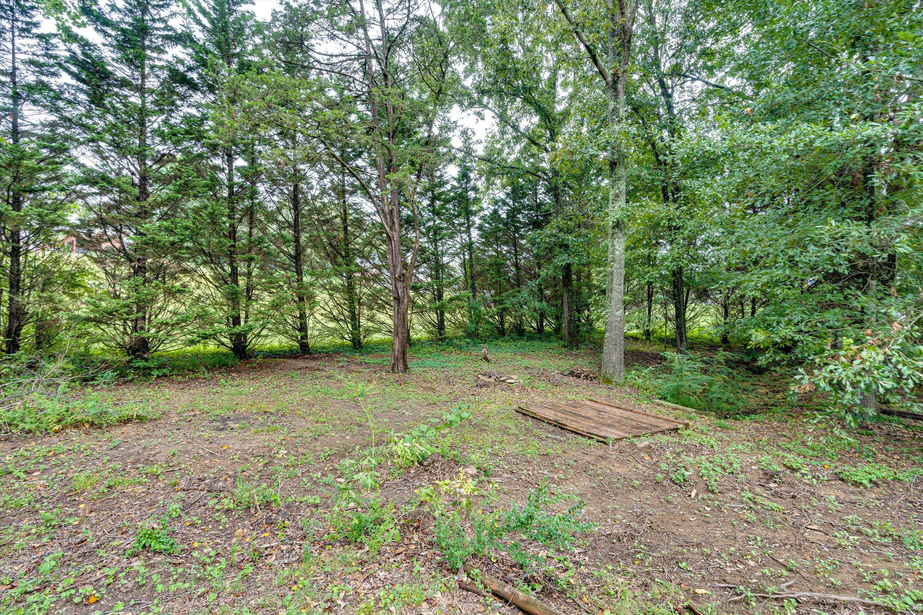 8623 Brookshadow Drive