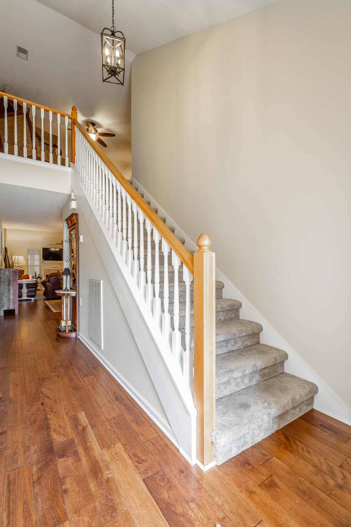 2405 Queens Lace Trail