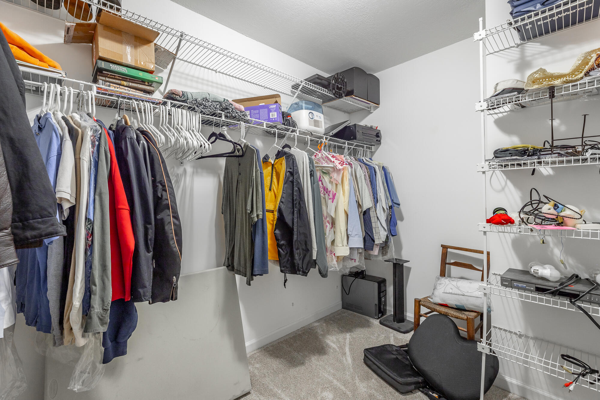 2405 Queens Lace Trail