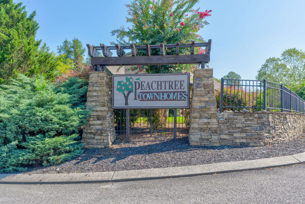 81 Orchard Lane